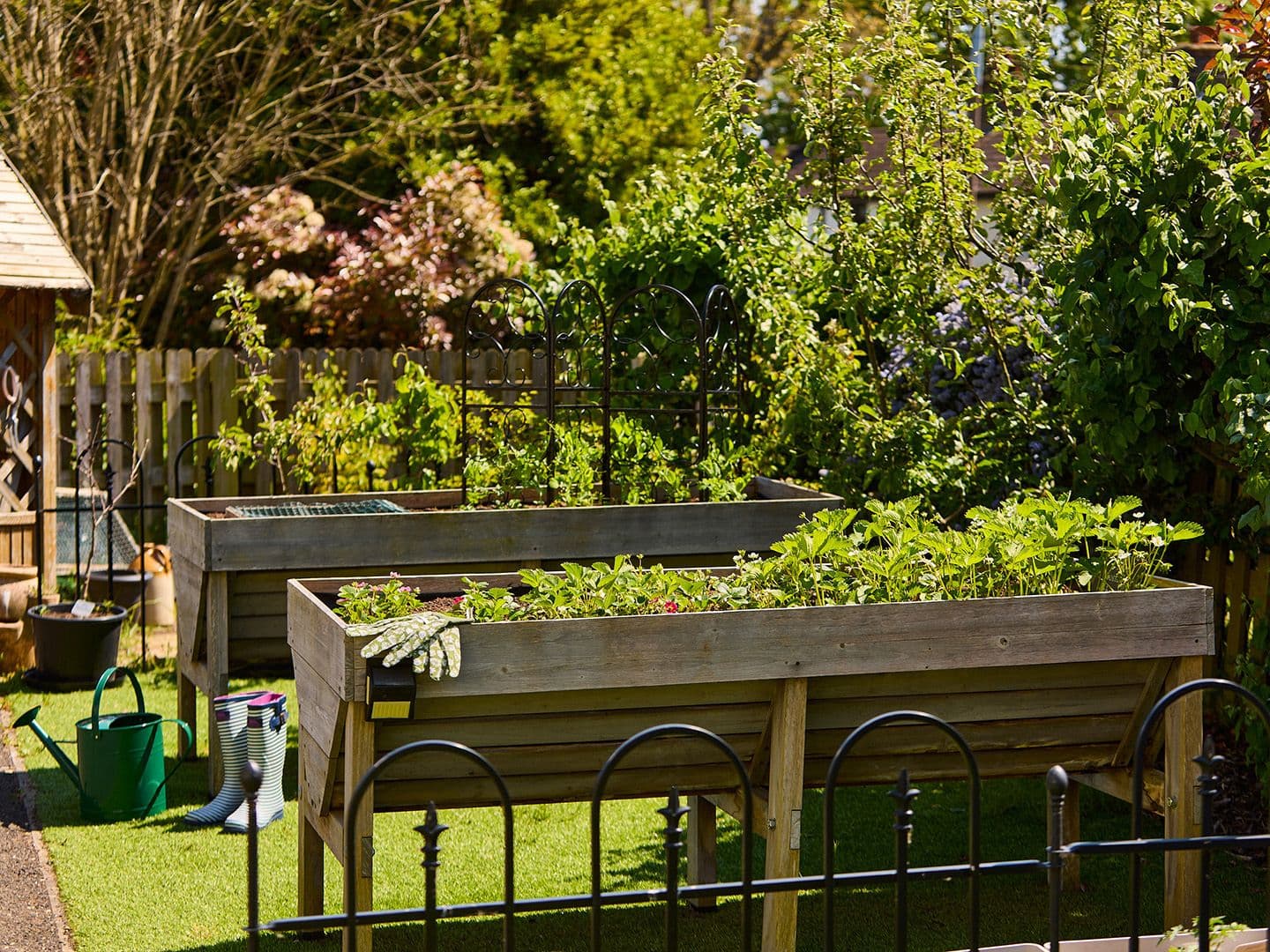 Hallmark Luxury Care Homes - Hallmark Admiral Court care home - 023