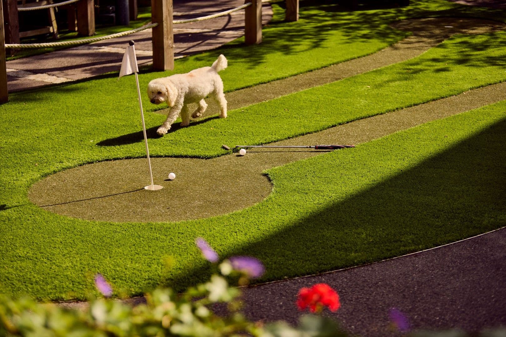 Hallmark Luxury Care Homes - Hallmark Henley Manor care home - 003