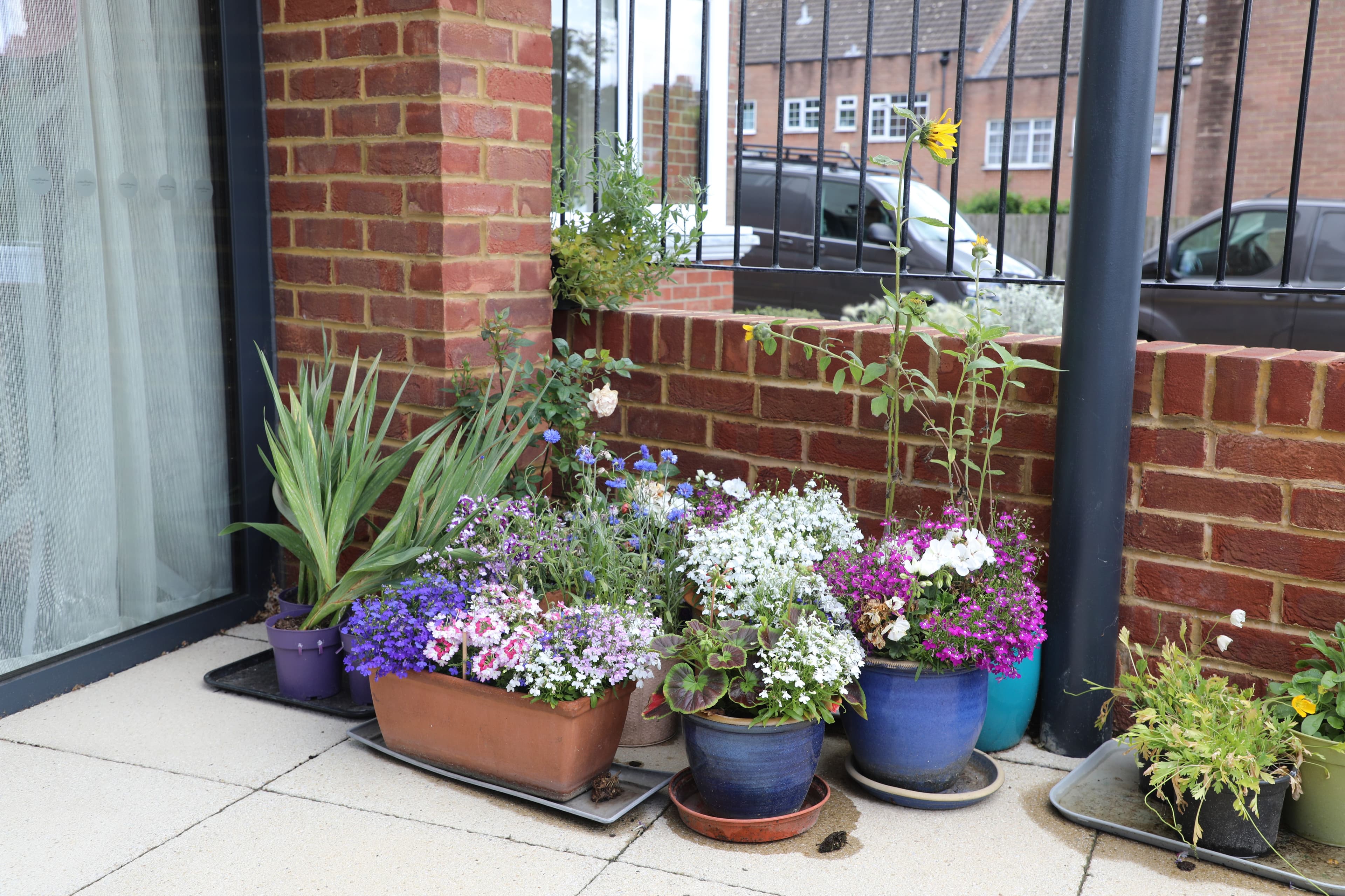 Country Court - The Pines care home - 009