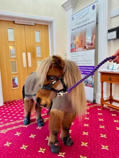 Beritaz Care - Windsor Court care home - 009