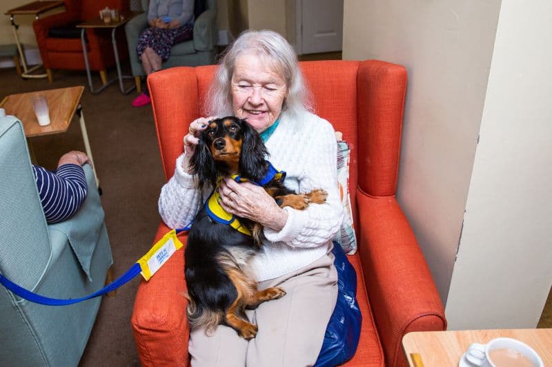 Jasmine Healthcare - St Andrew's care home - 002