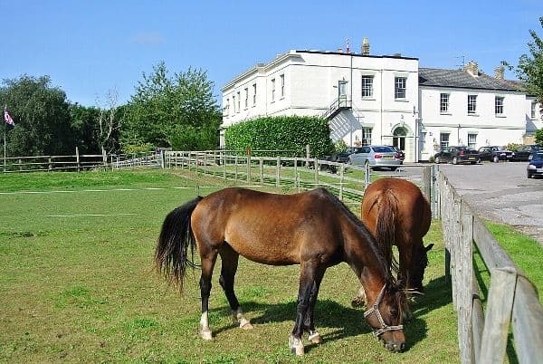 Shedfield Lodge Care Home, Shedfield, SO32 2JZ