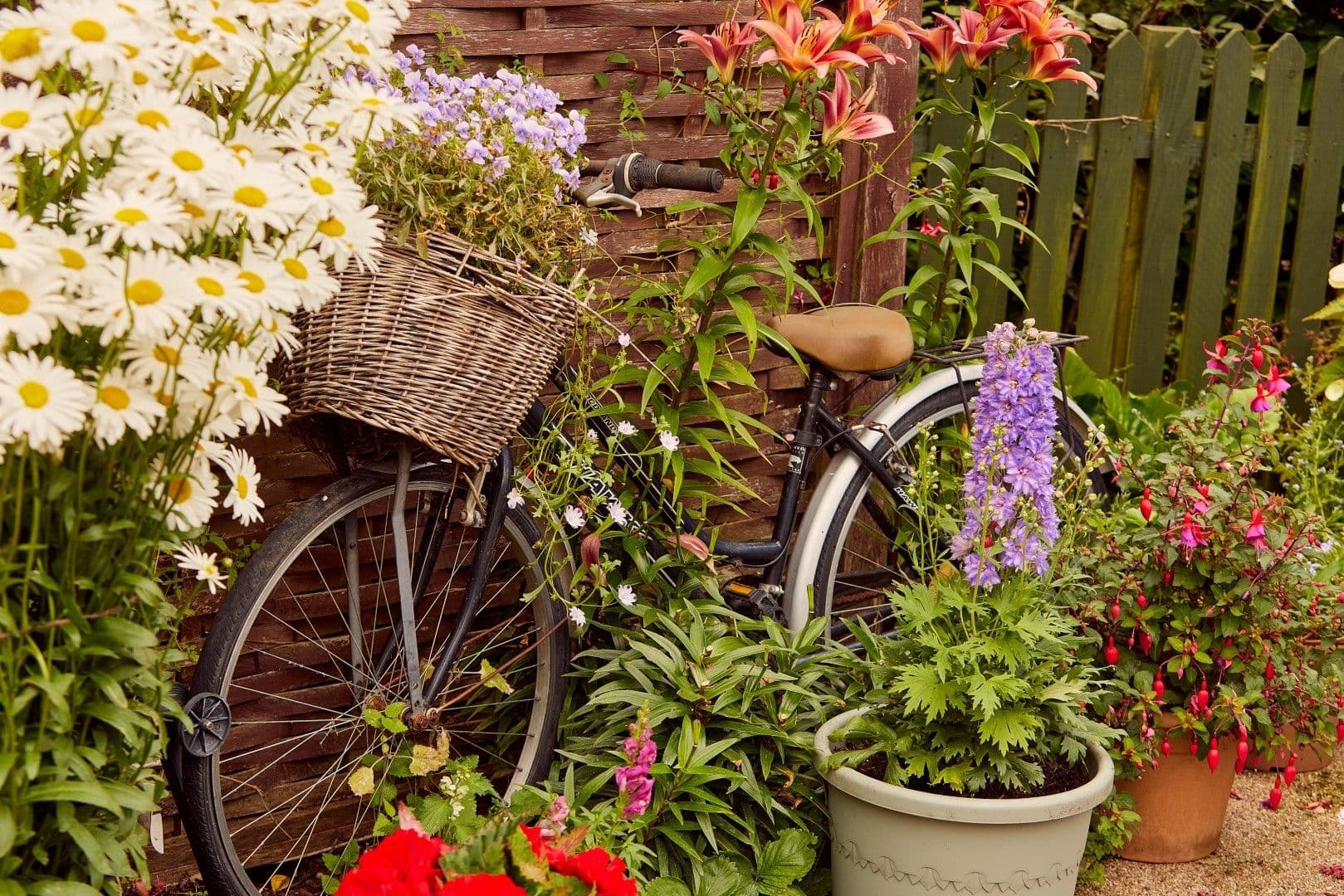 Hallmark Luxury Care Homes - Hallmark Arlington Manor care home - 028