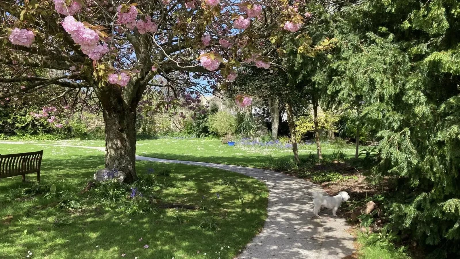 MHA - Langholme care home - 004