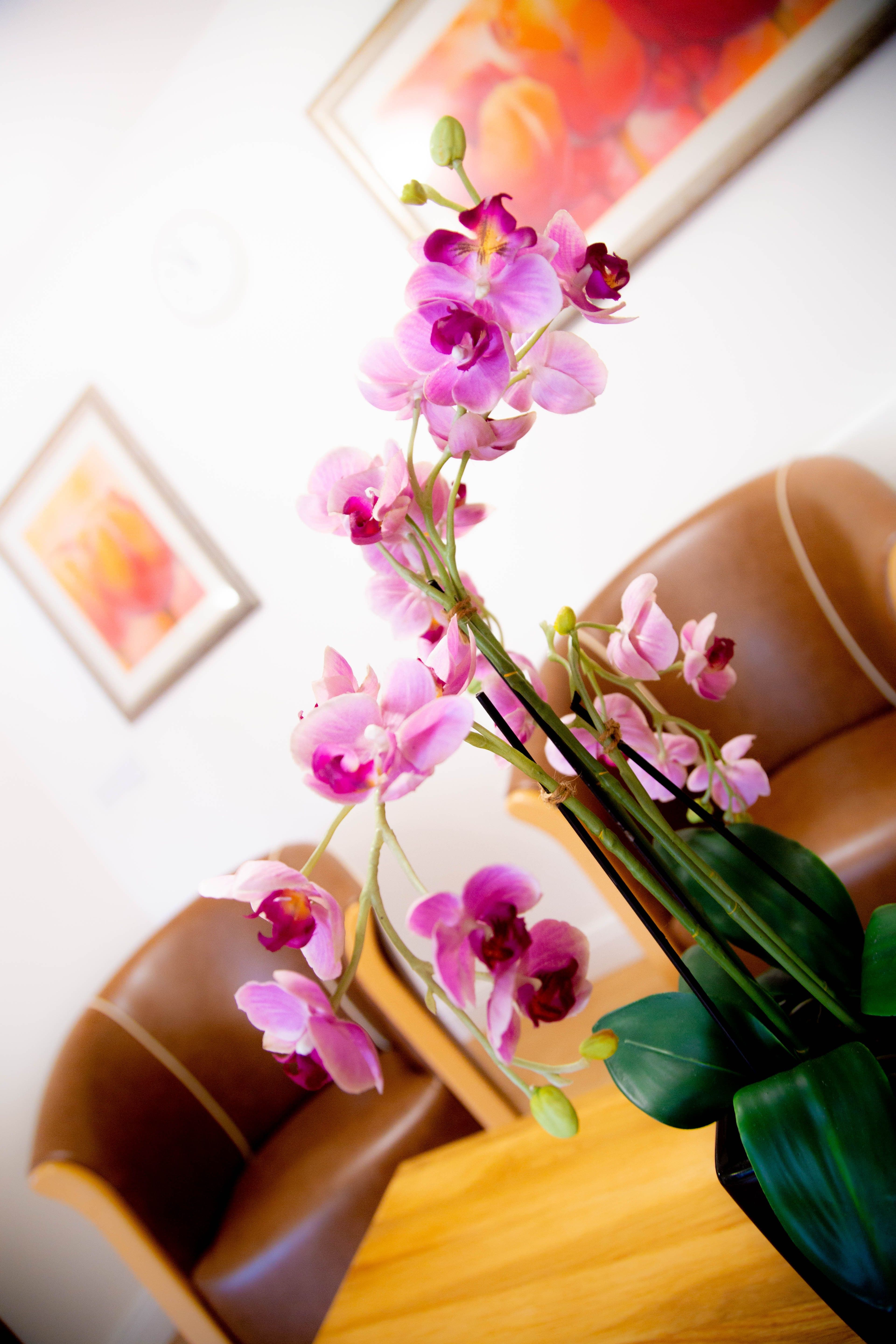 Cedar Care Homes - Eden Mansions care home - 006