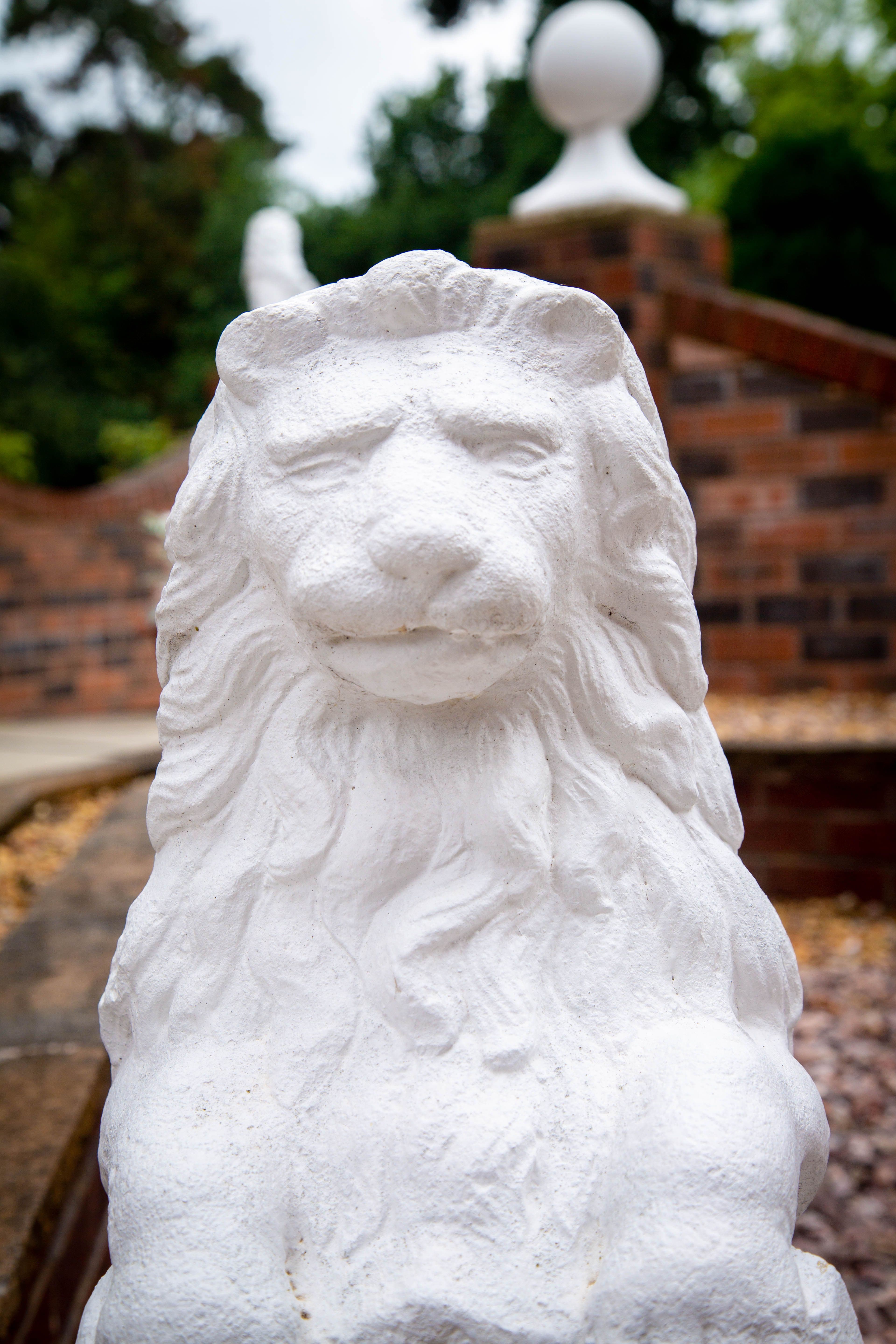 Cedar Care Homes - Eden Mansions care home - 008