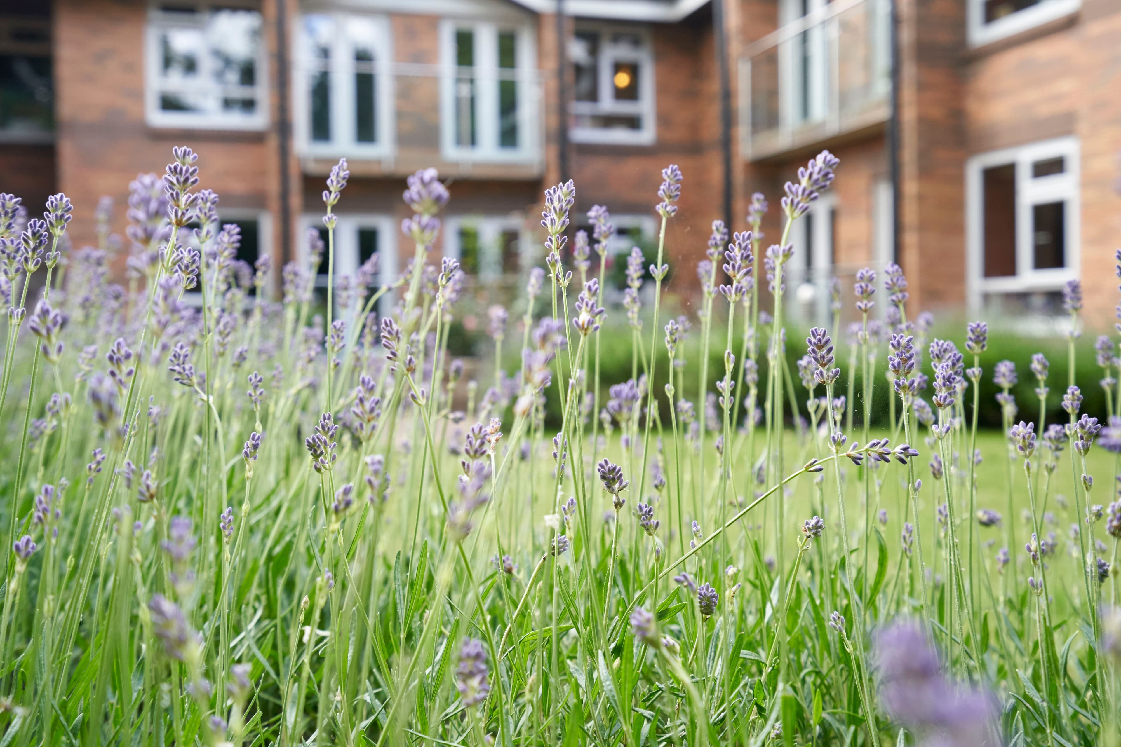 BCOP - Robert Harvey House care home 014