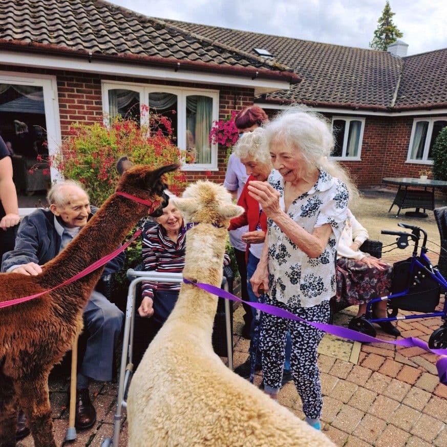 B&M Care - St Lukes care home - 013