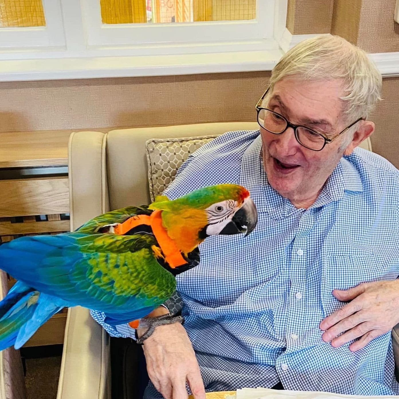 B&M Care - The Lodge care home - 016