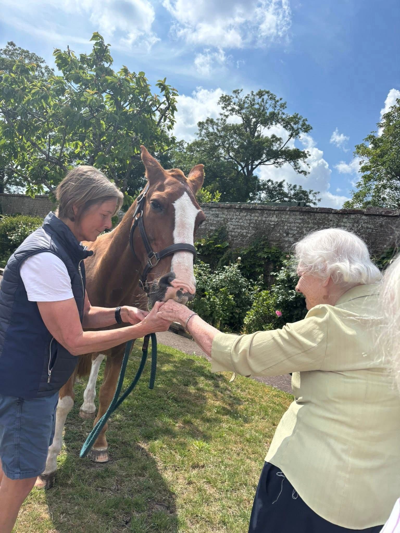 B&M Care - Ashlyns care home - 017