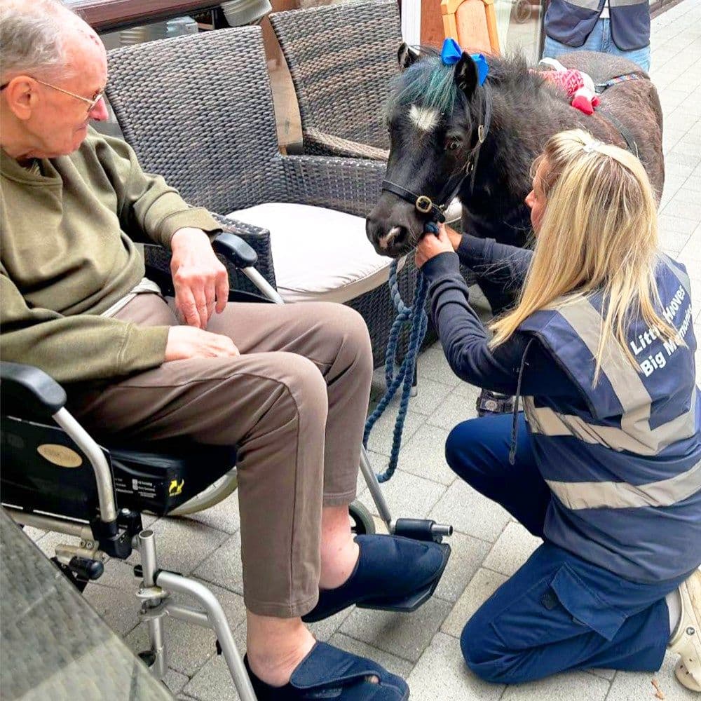 B&M Care - St Josephs care home - 011
