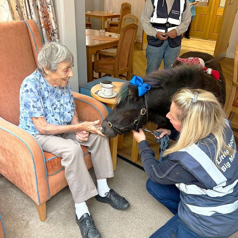 B&M Care - St Josephs care home - 013