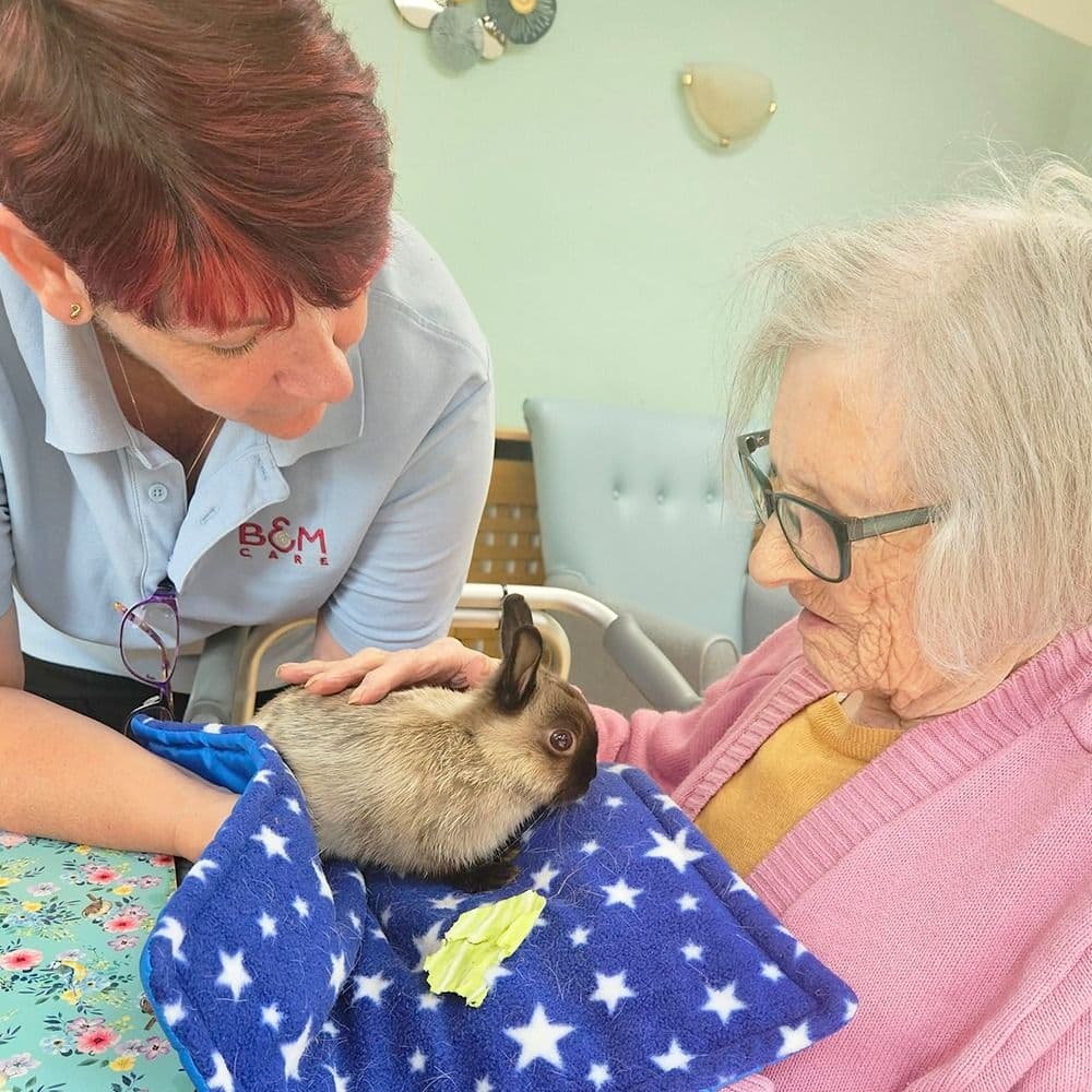 B&M Care - Templemore care home - 009