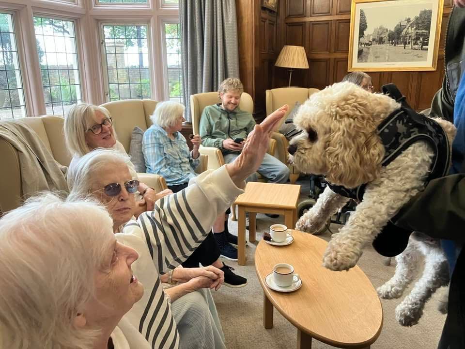 B&M Care - Greenhill care home - 025