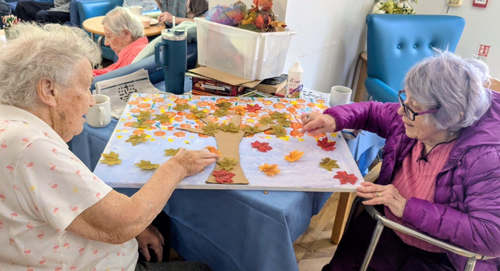 B&M Care - Clare Lodge care home - 020