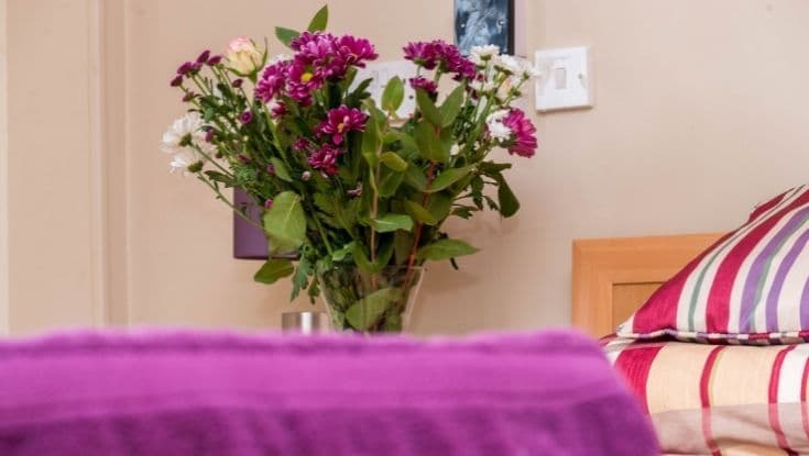 HC-One - Ash Court care home - 006