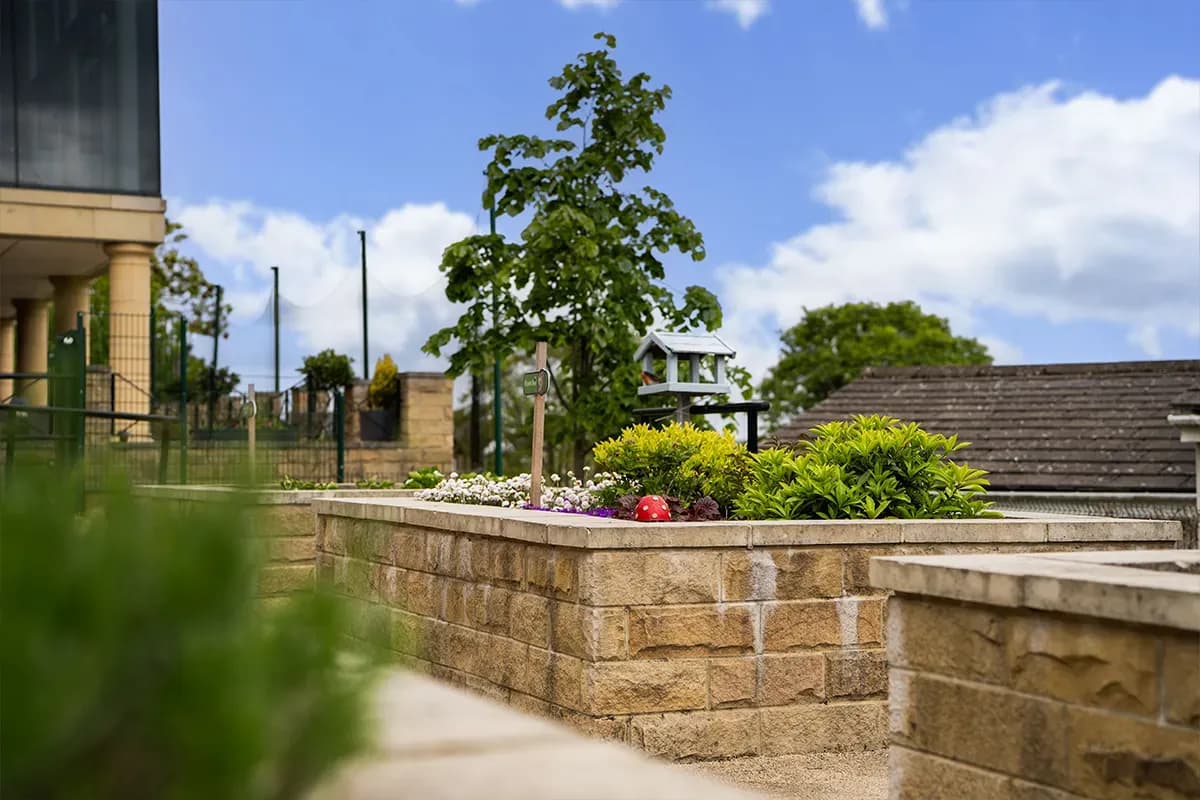 Holt Family Care Group - The Avenue care home - 010