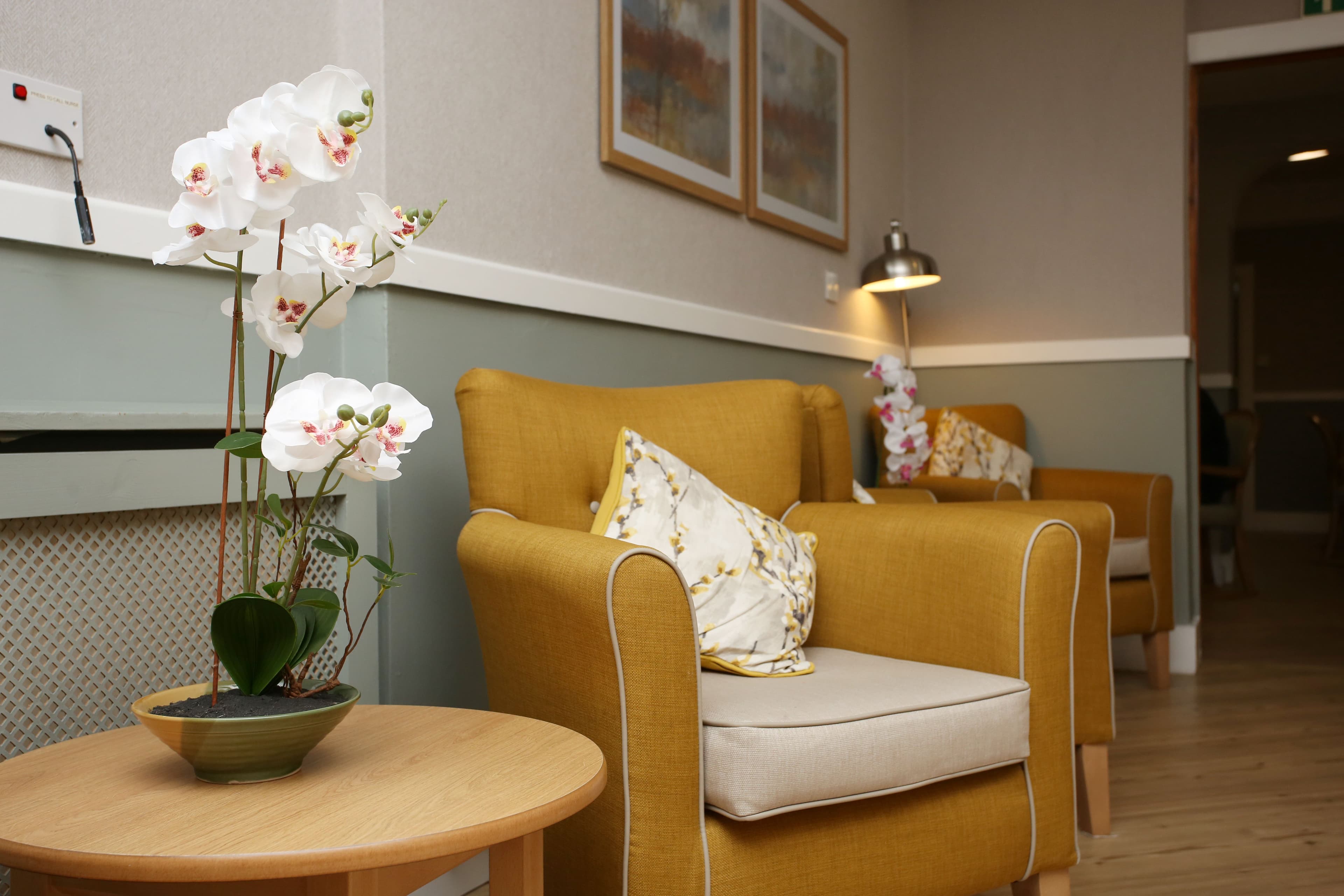 Young at Heart - Little Croft care home - 012