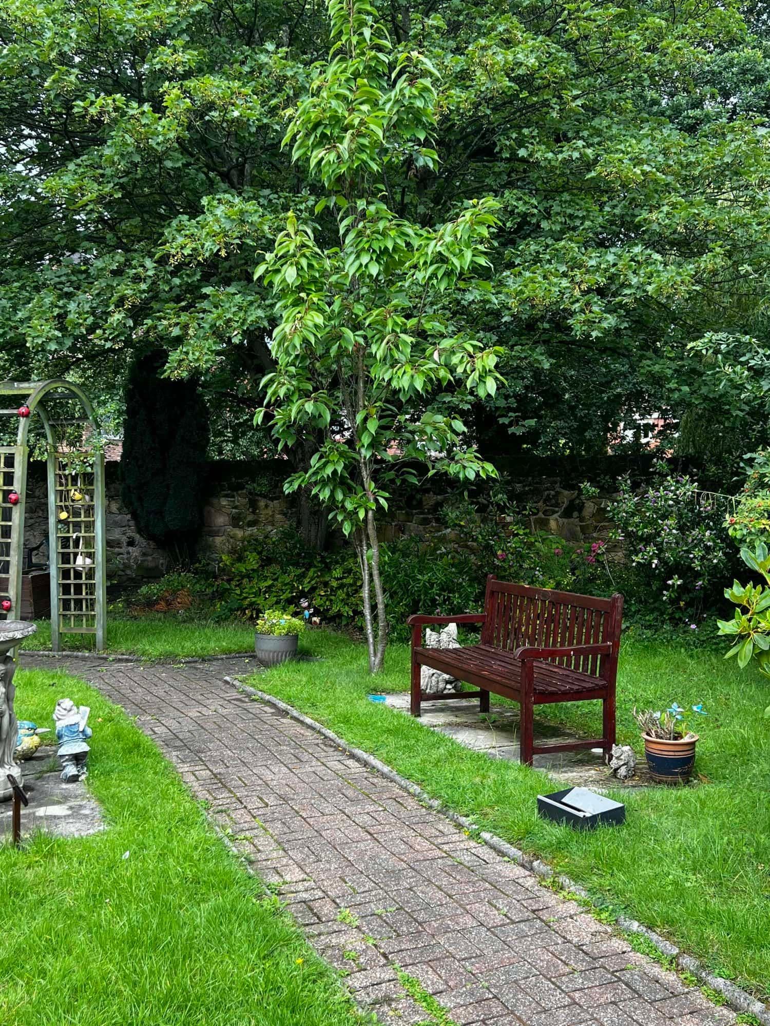 We Care Group - Beechcroft care home - 009