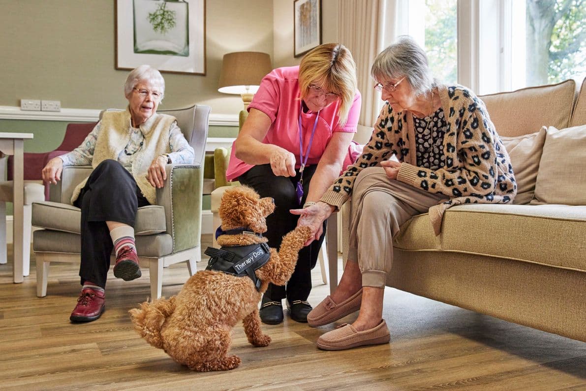 Aria Care - Belmont Castle care home - 006
