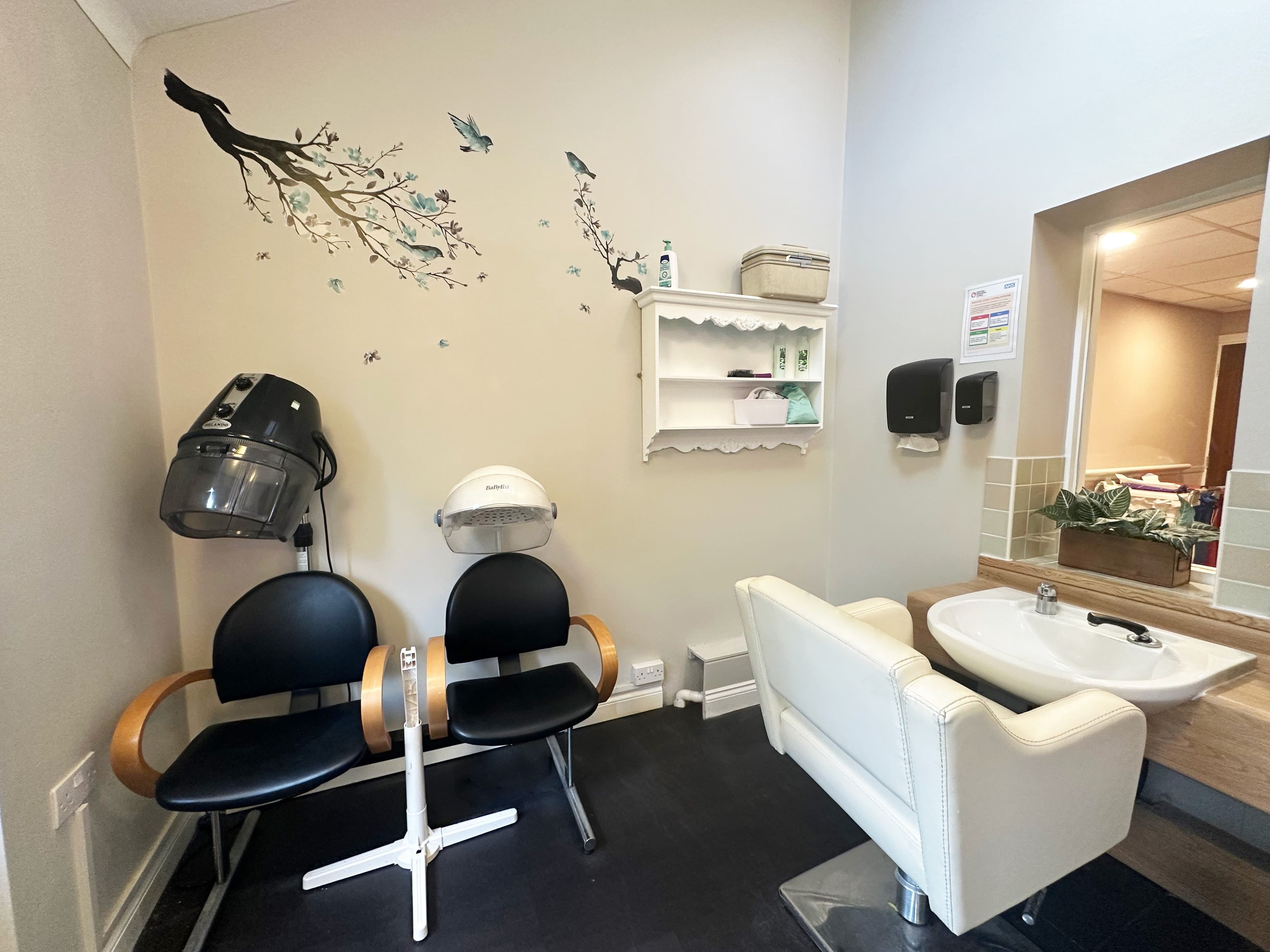 Dovehaven - Birch Abbey care home - 011