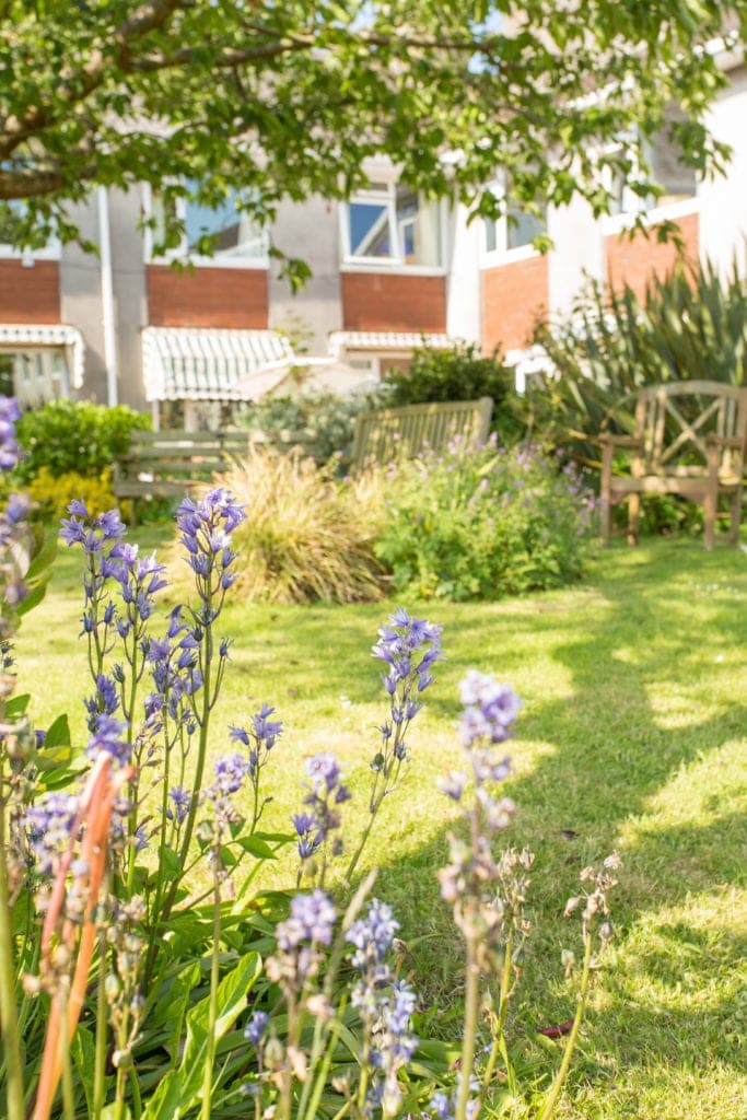 Garden at Balckwood Care Home in Camborne, Cornwall