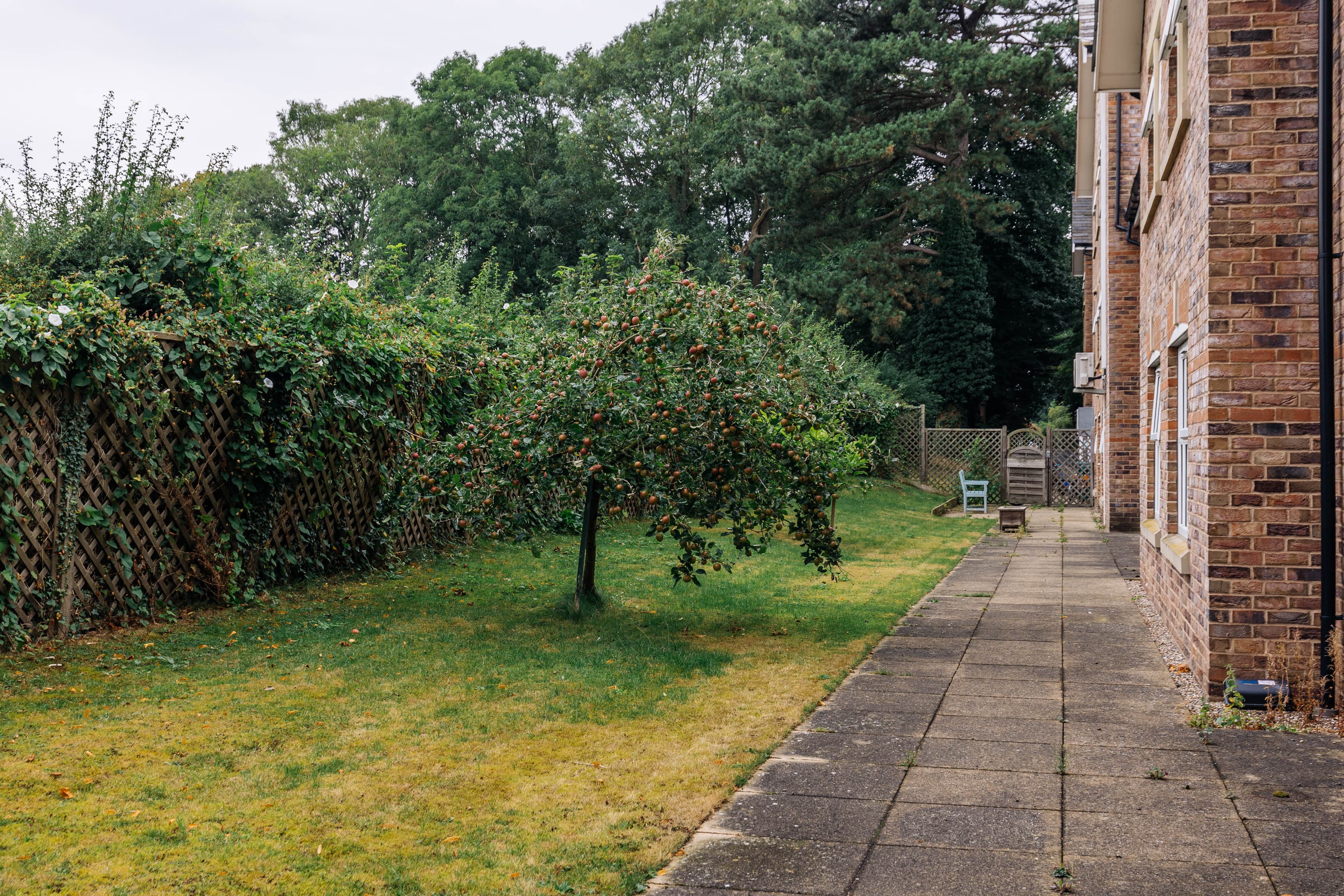Barchester Healthcare - Boroughbridge Manor and Lodge care home 26