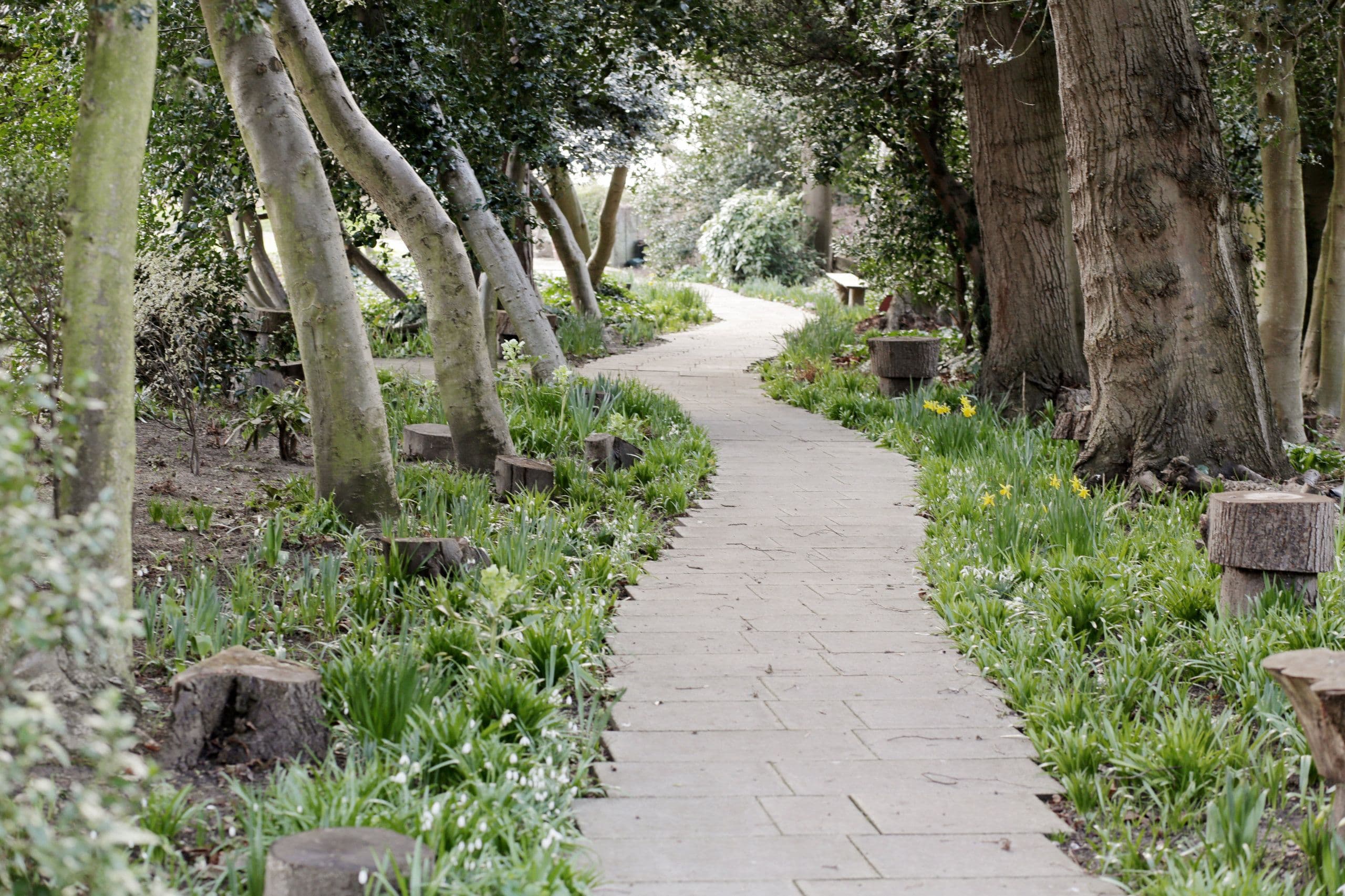 Woodland walks at Broadlands Care Home, Lowestoft, Suffolk