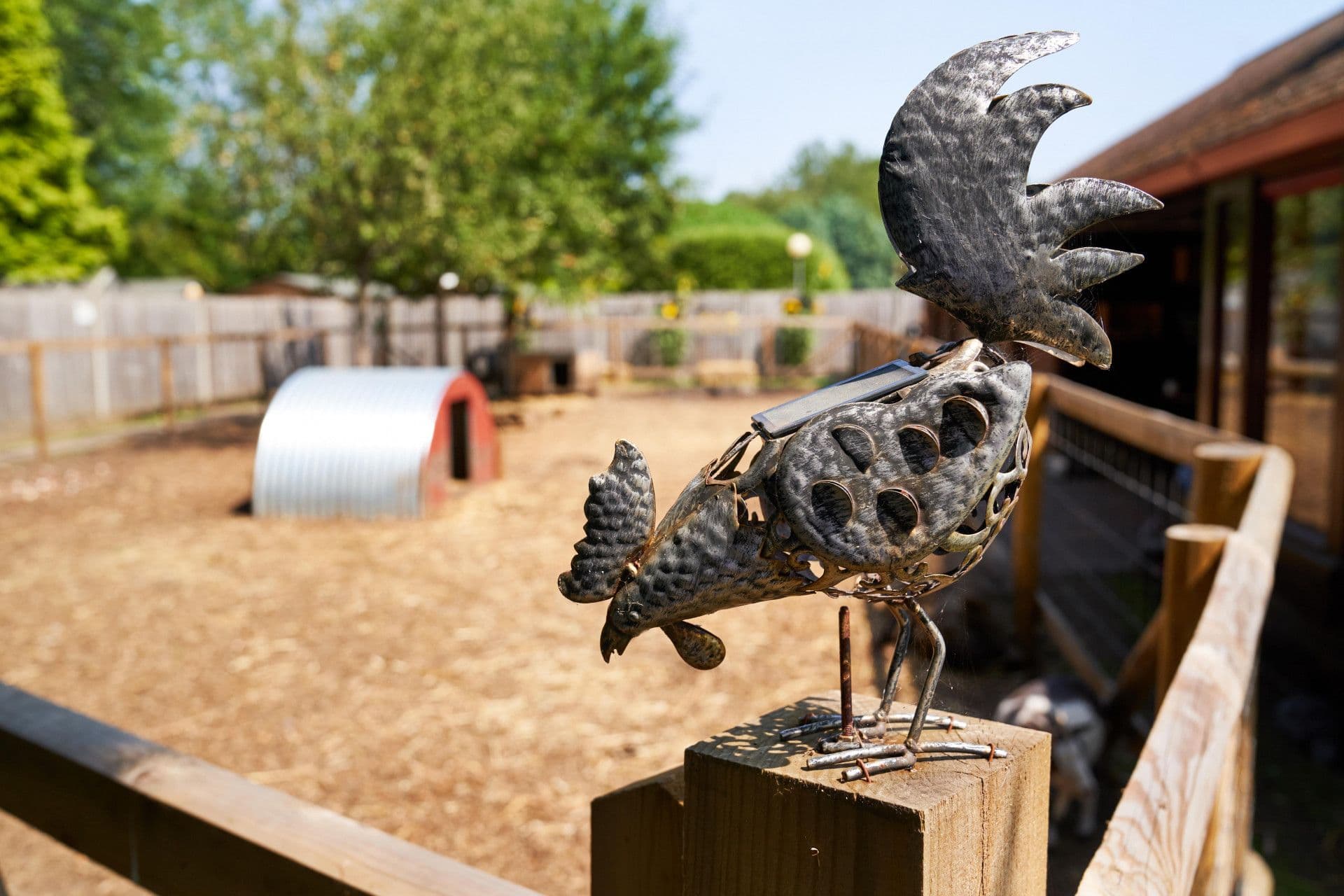 Garden of Broadwater Lodge care home in Godalming, Surrey