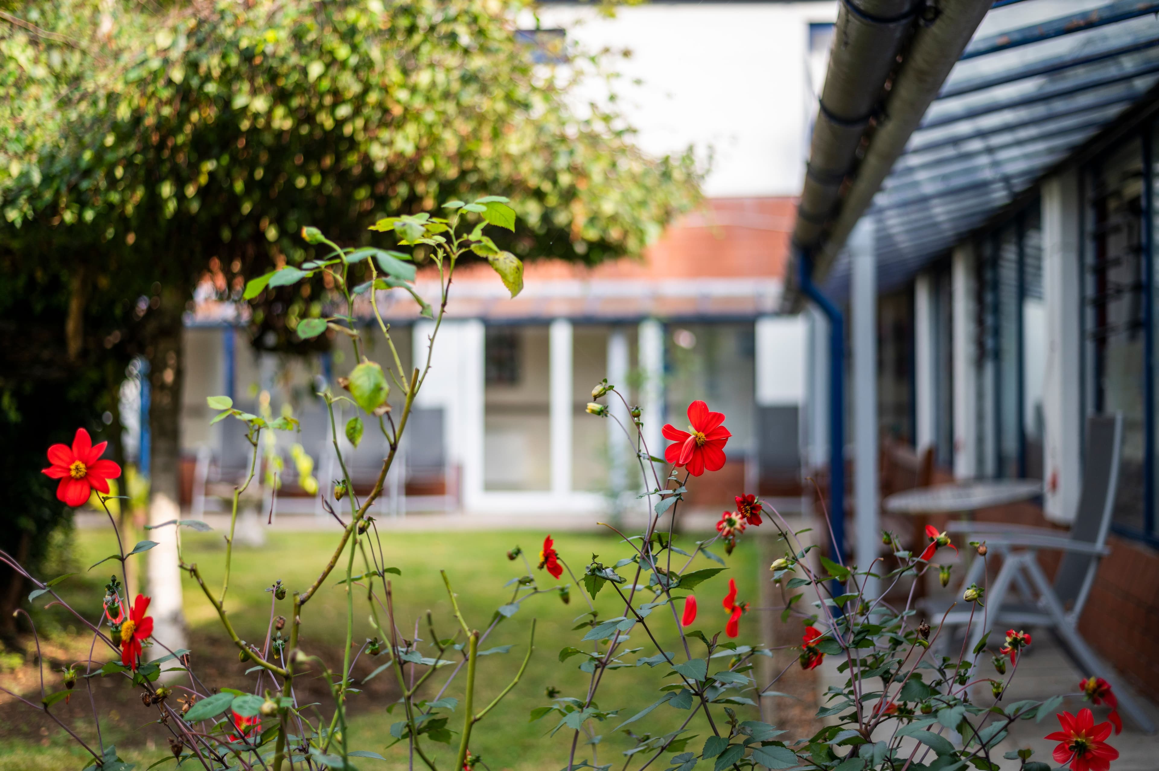 The Burrows House care home 1