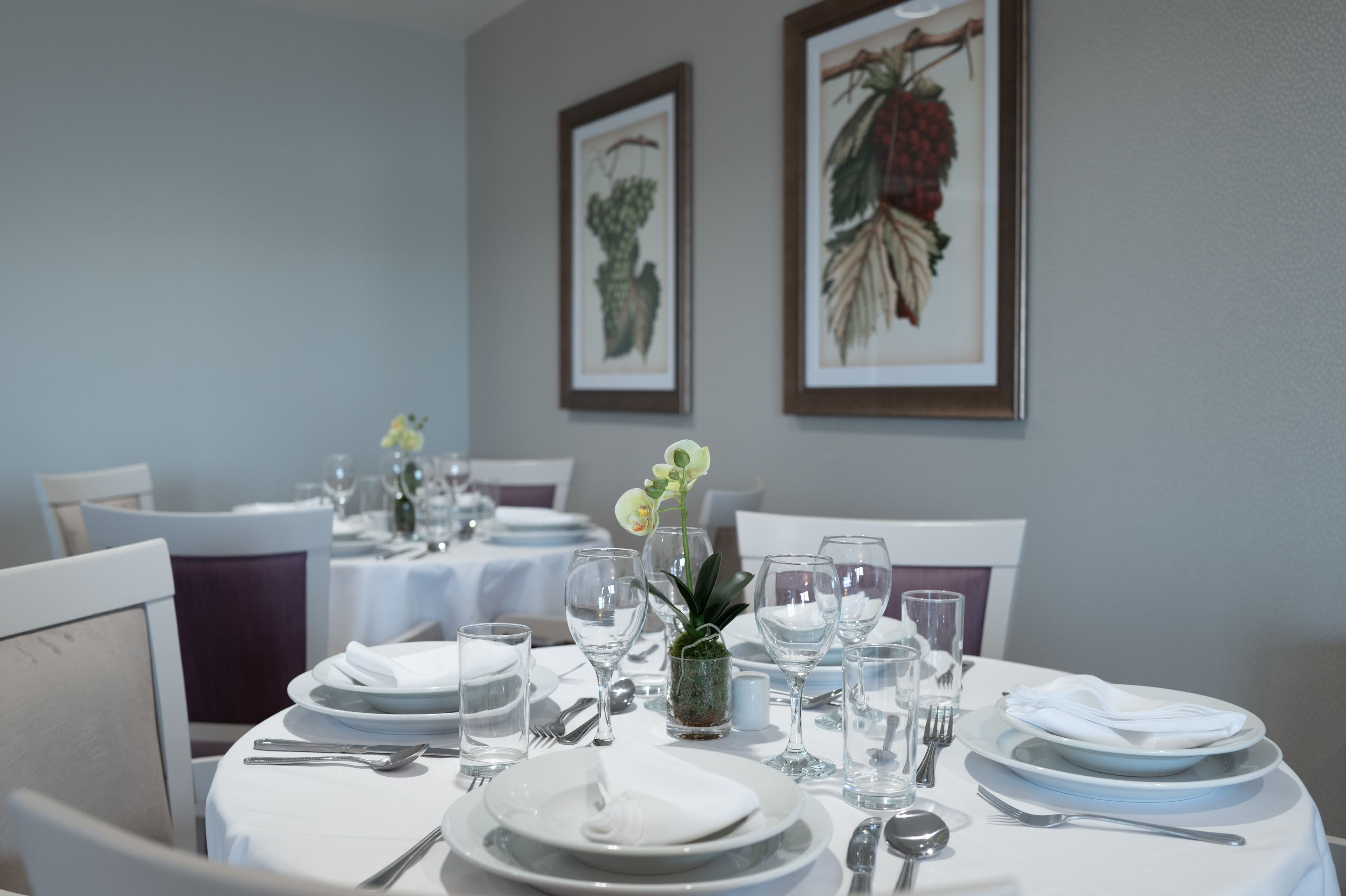 Independent Care Home - Caraway House care home - 022