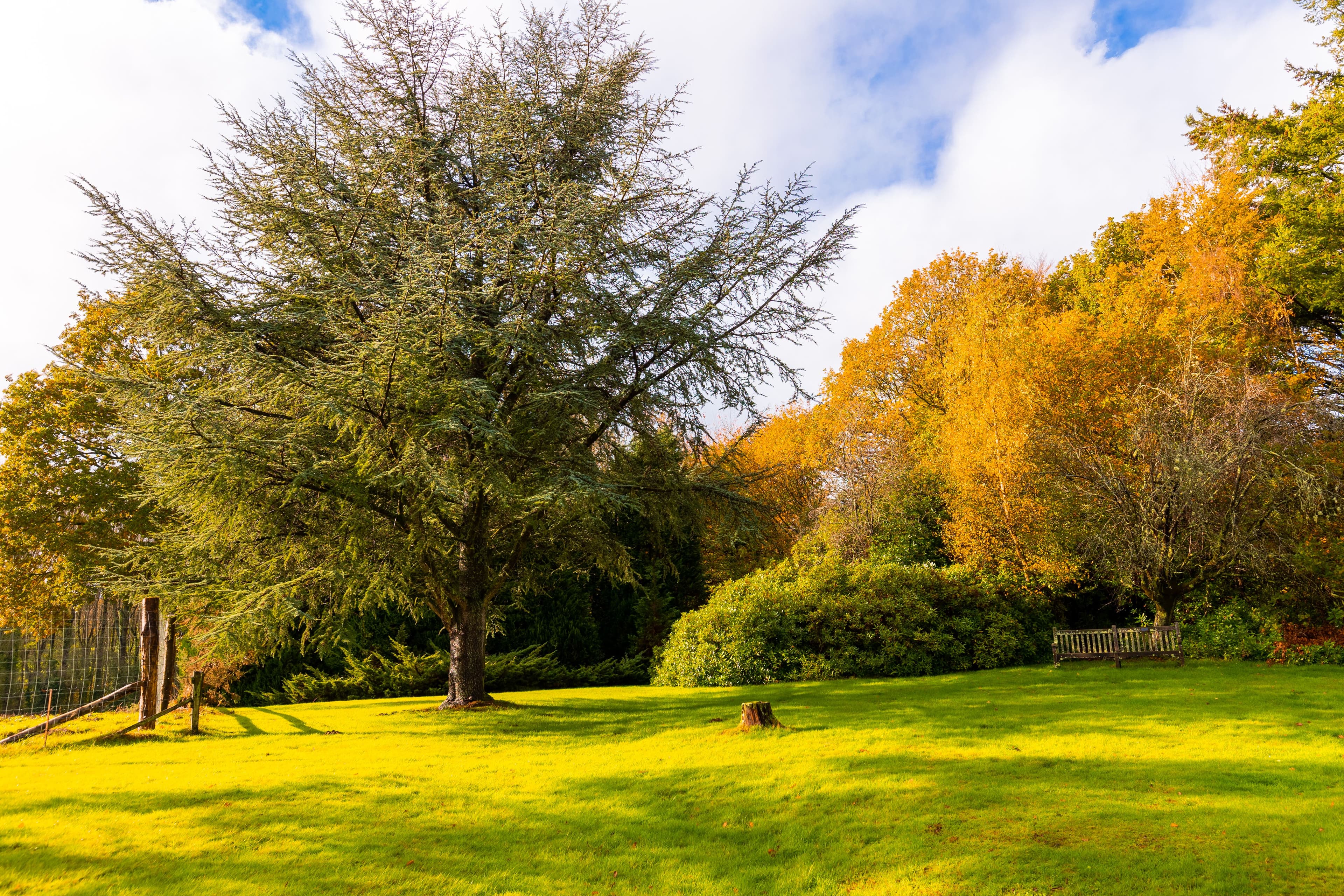 Barchester Healthcare - The Cedars care home 24