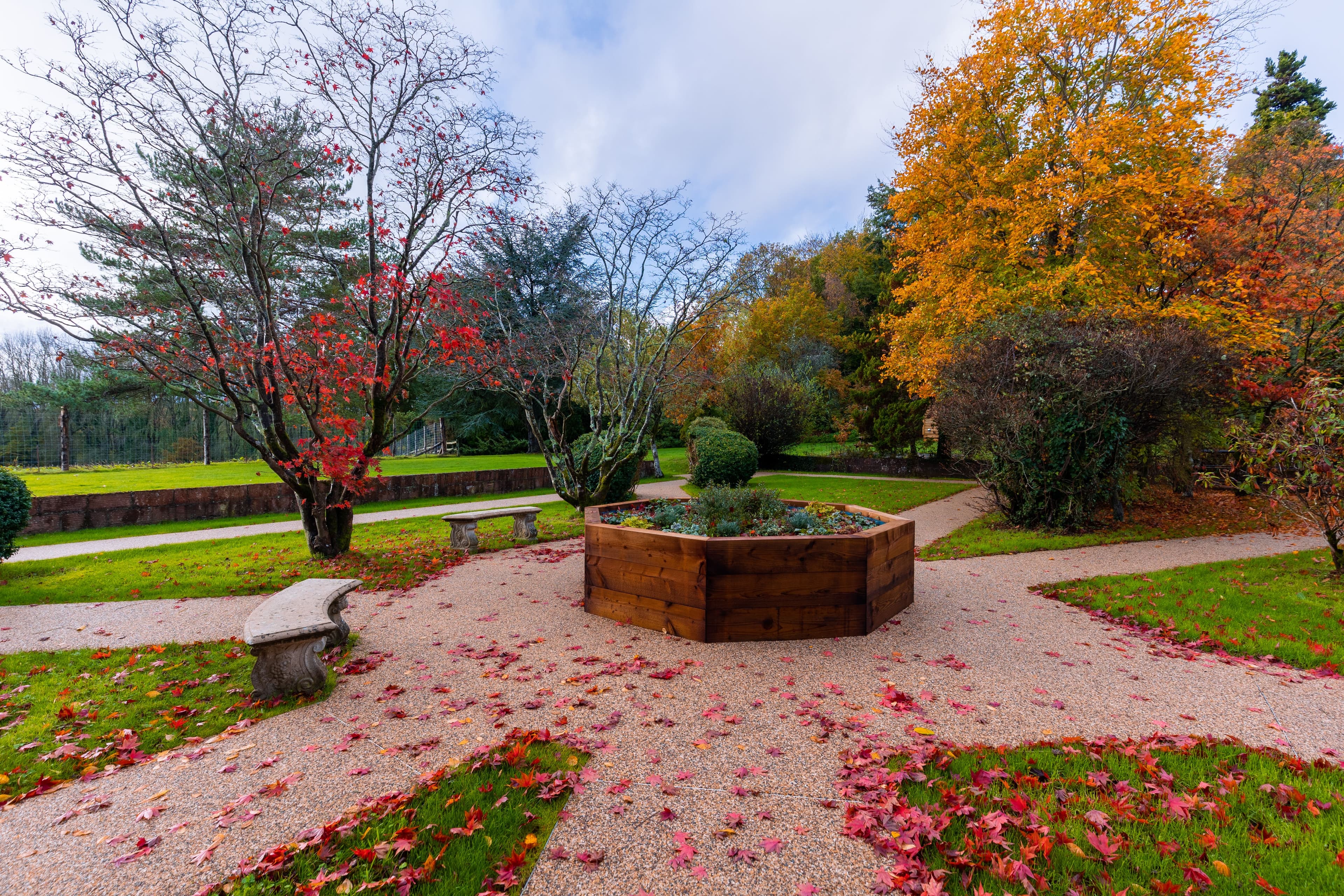 Barchester Healthcare - The Cedars care home 23