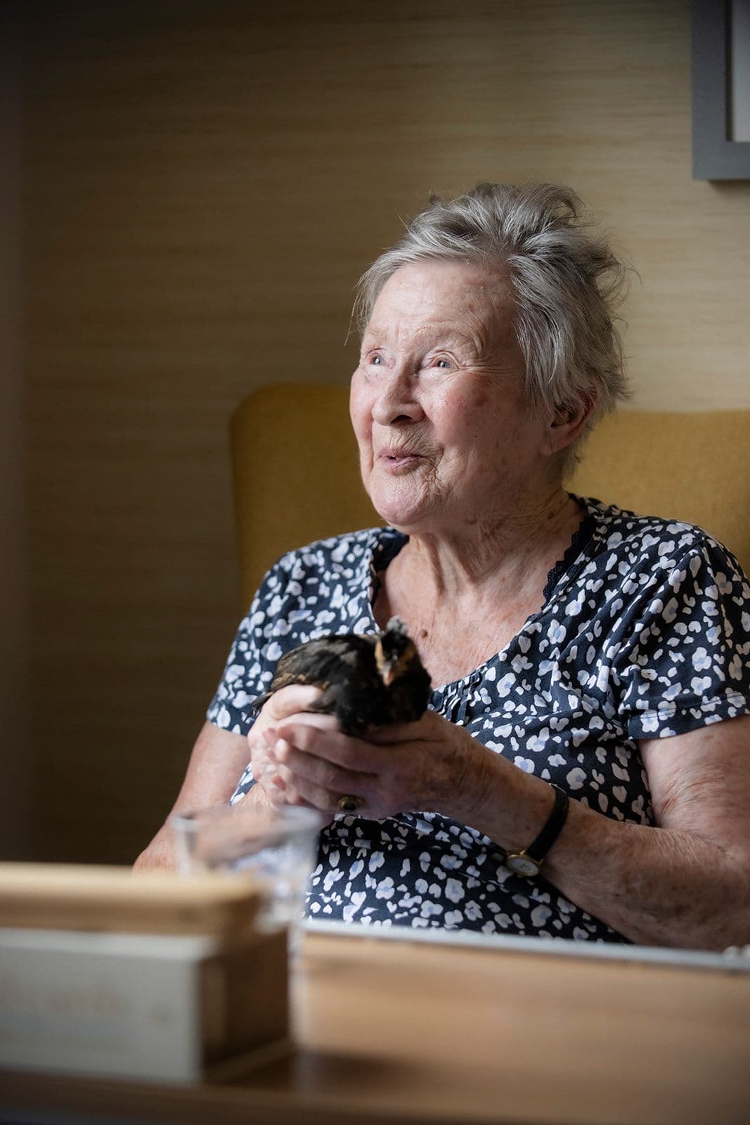 Boutique Care Homes - Chartwell House care home - 011