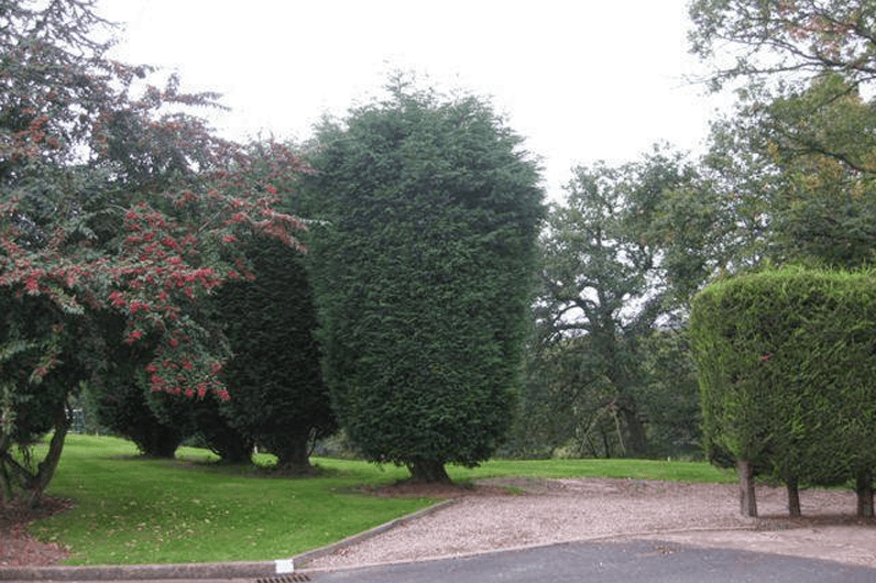 Coate Water Care - Westley Court care home 12