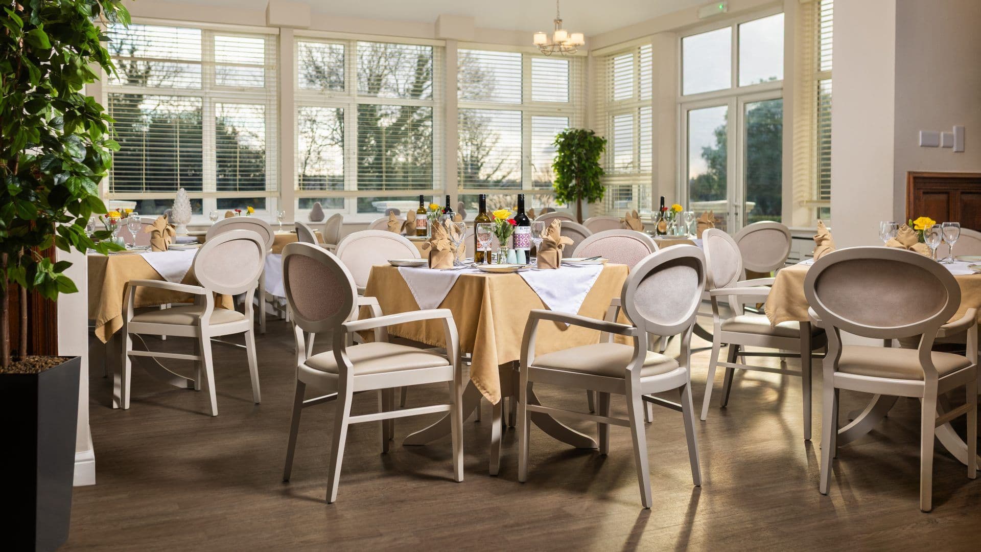 Aria Care - Coppice Lea care home - 006
