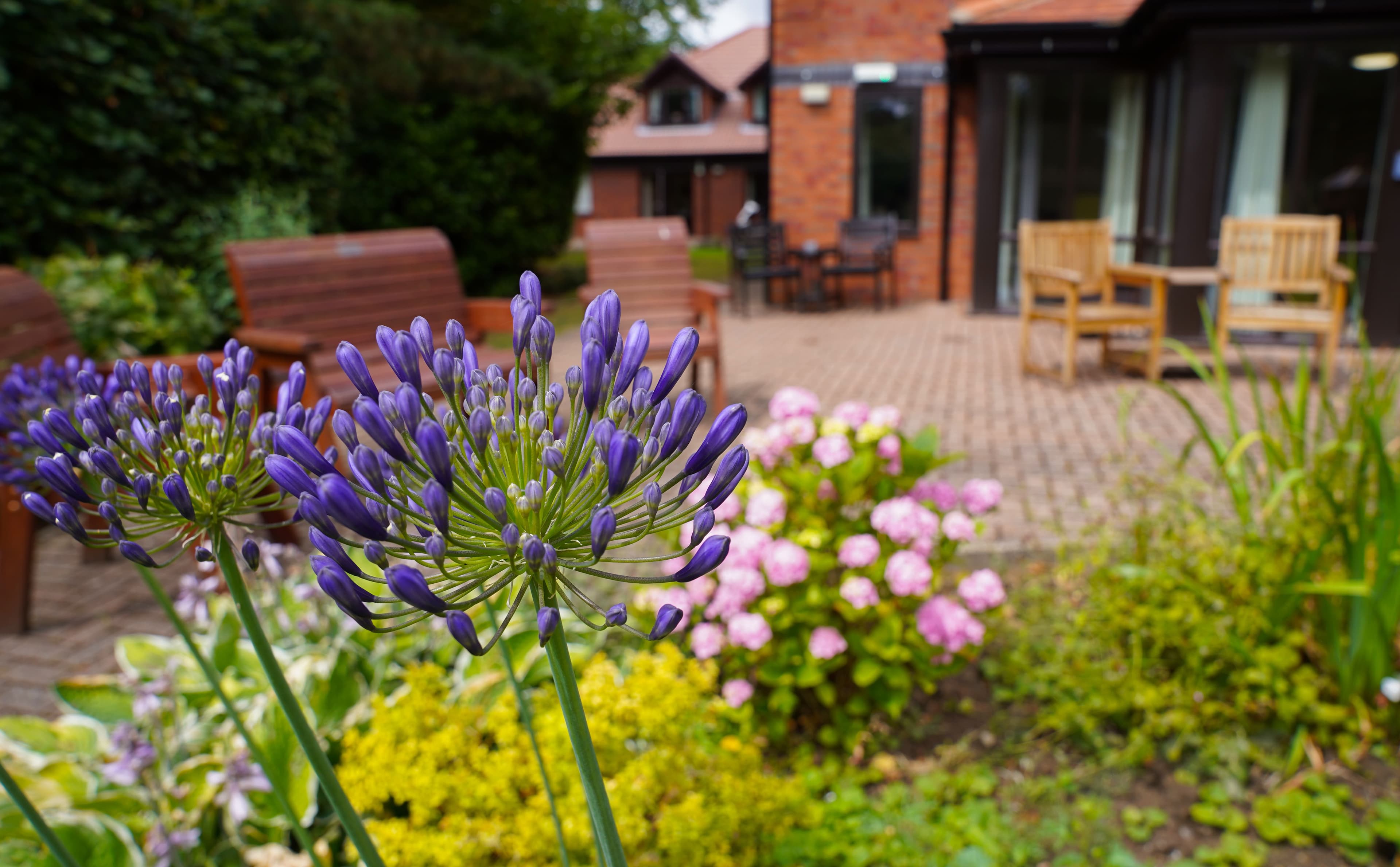 Garden of Nunthorpe Oaks in Nunthorpe, Middlesbrough