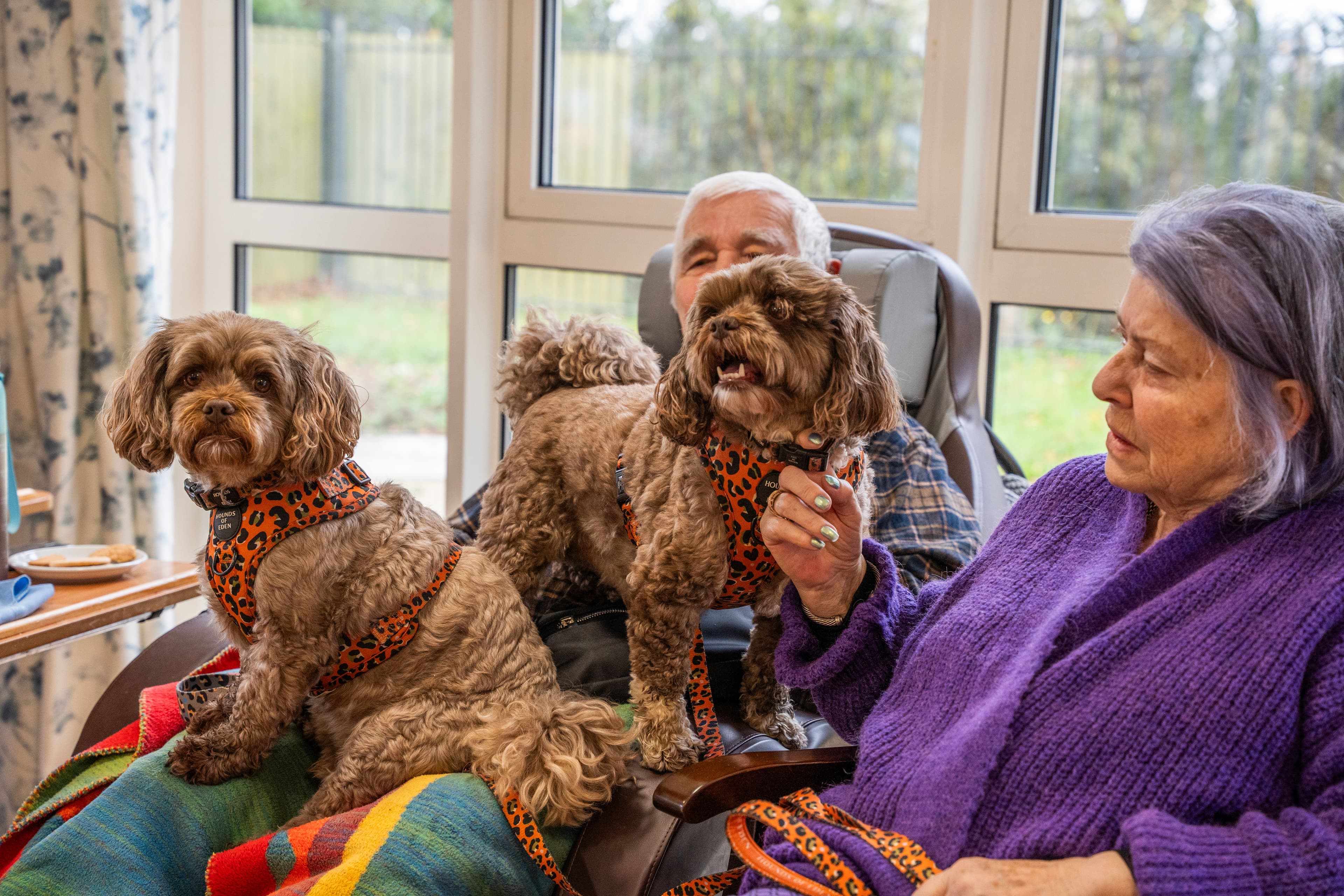 Eleanor Healthcare Group - Halden Heights care home - 005
