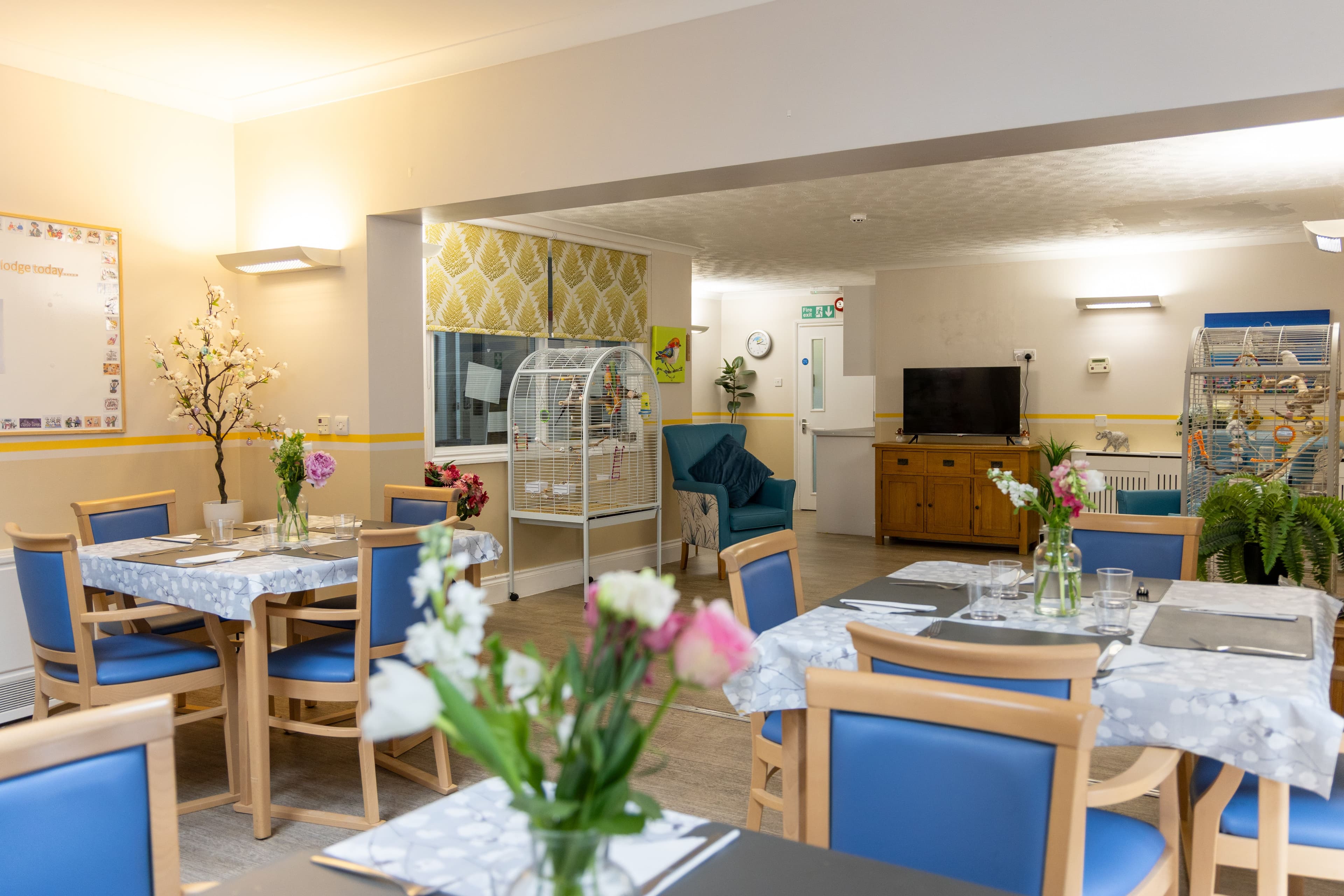 The Knoll Nursing Home - The Knoll  care home - 015