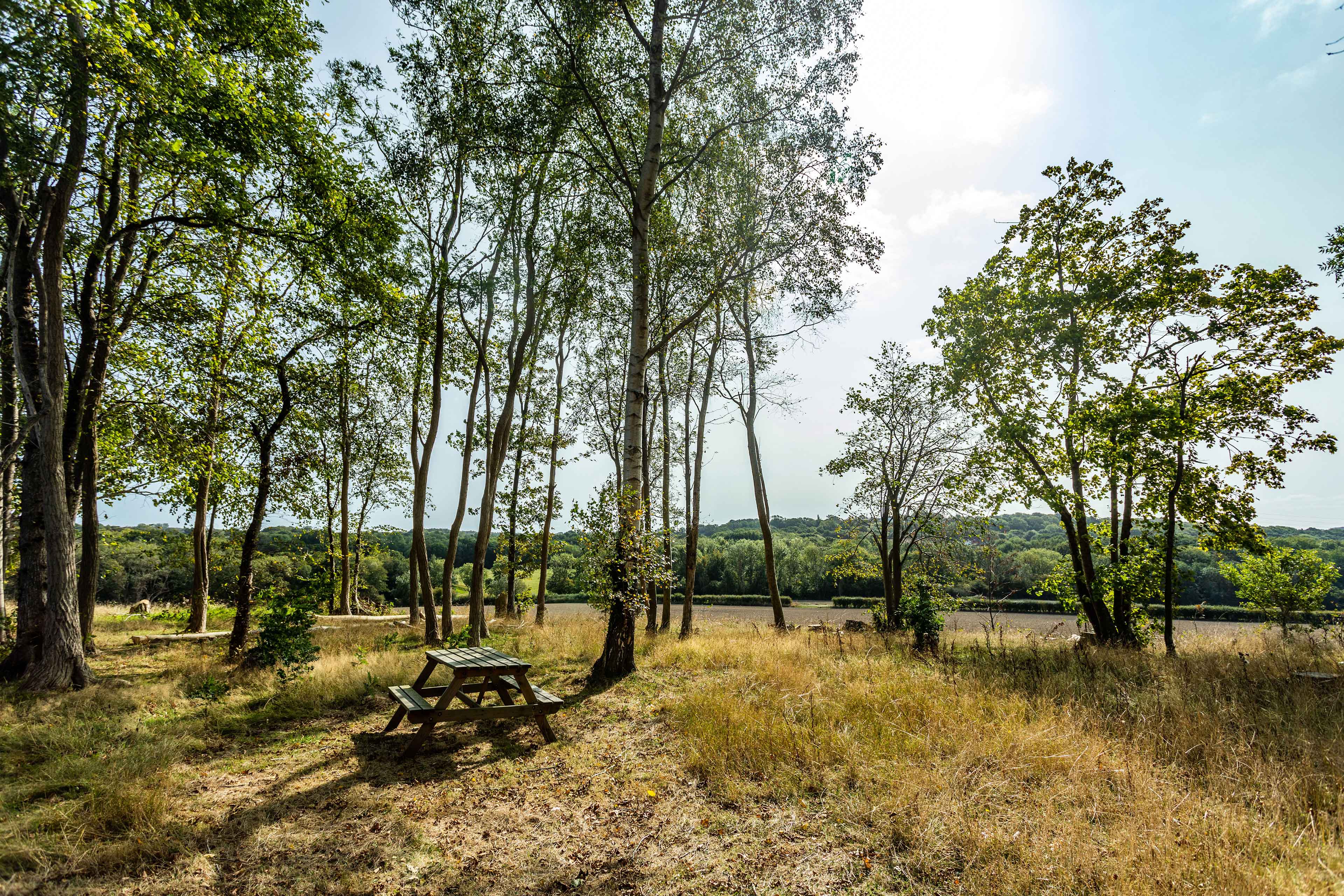 Garden of Edendale Lodge care home in Battle, East Sussex 