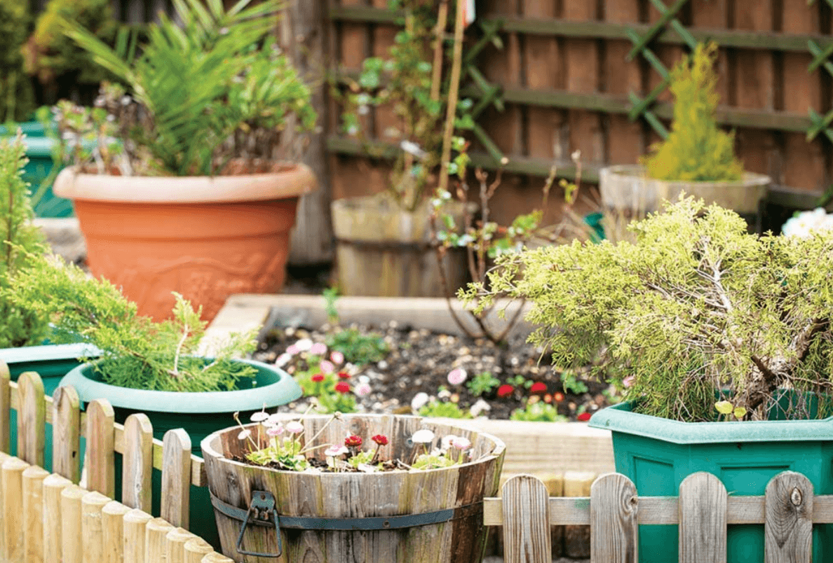 Garden of Fairlawn care home in Ferndown, Dorset