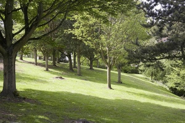 Four Seasons Health Care - Craigieknowes care home 8