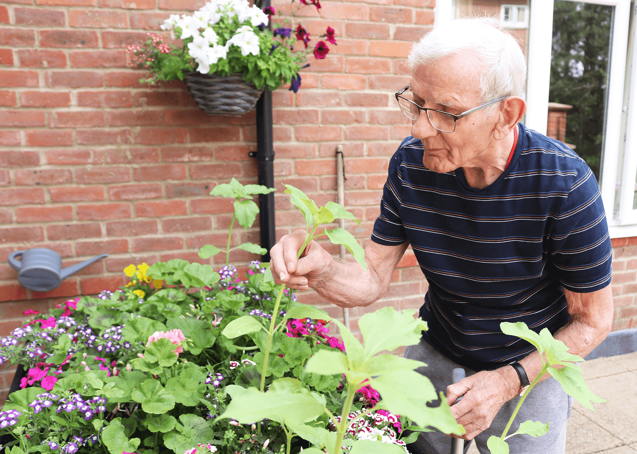 Forest Care - Rowan Lodge care home - 019