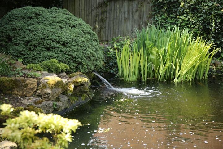 Independent Care Home - Green Trees care home - 009
