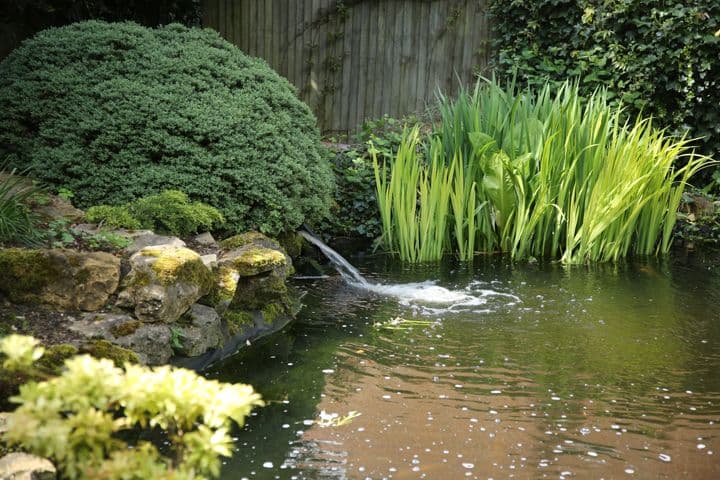 Green Trees Care Home, Barnet, EN4 0EY