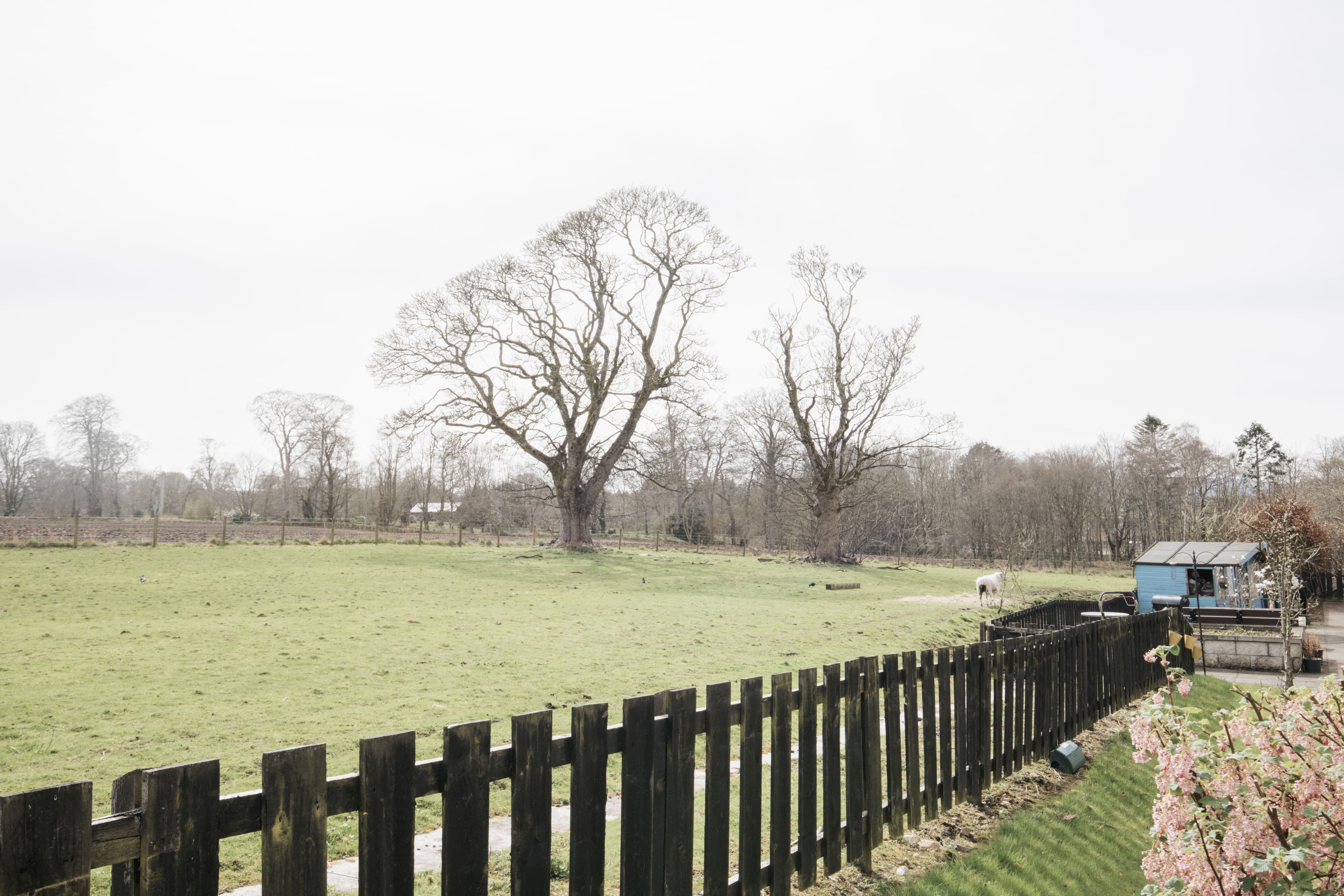 Meallmore - Grove care home - 016