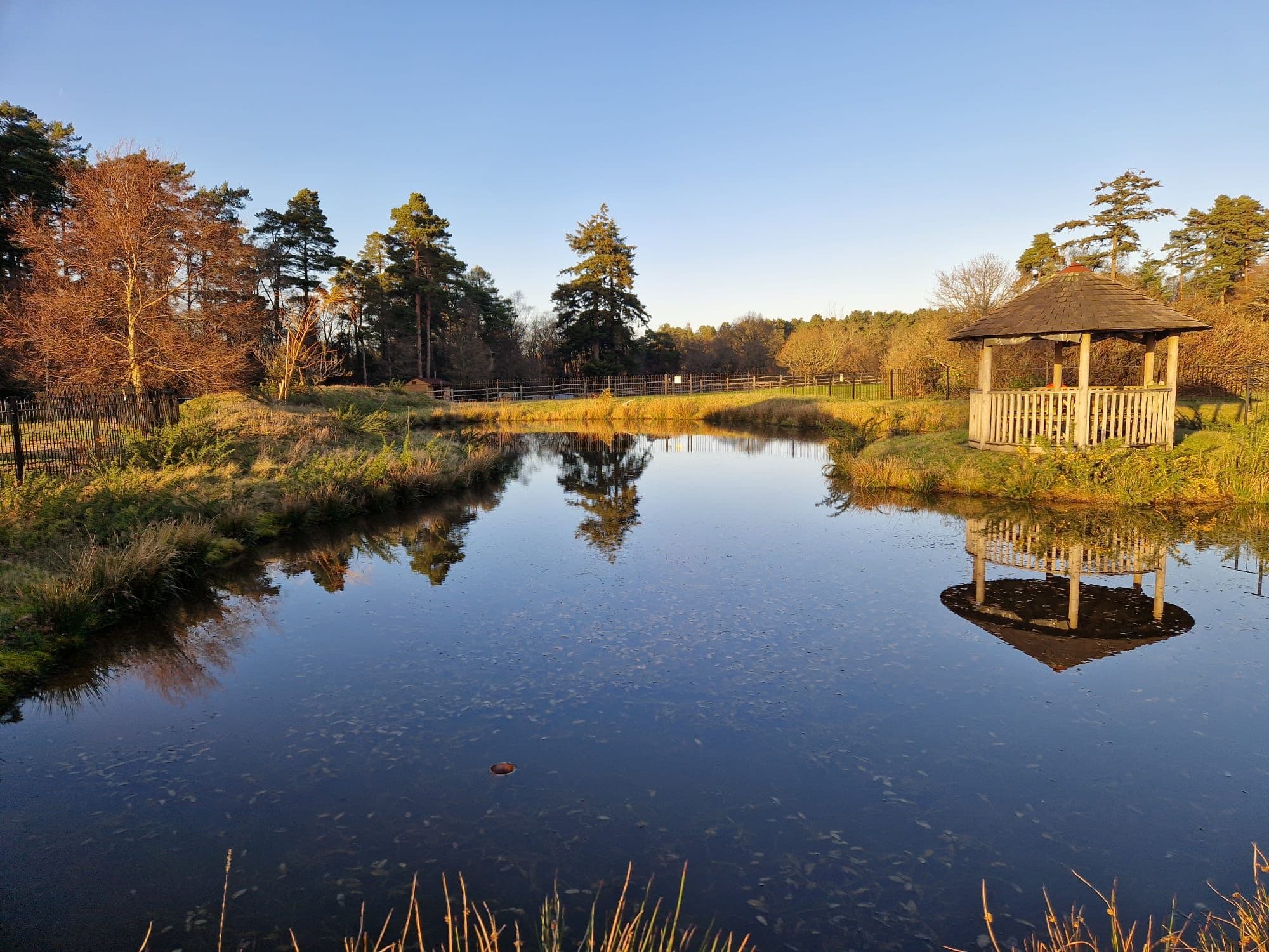 Landscape of Huntington House in Surrey