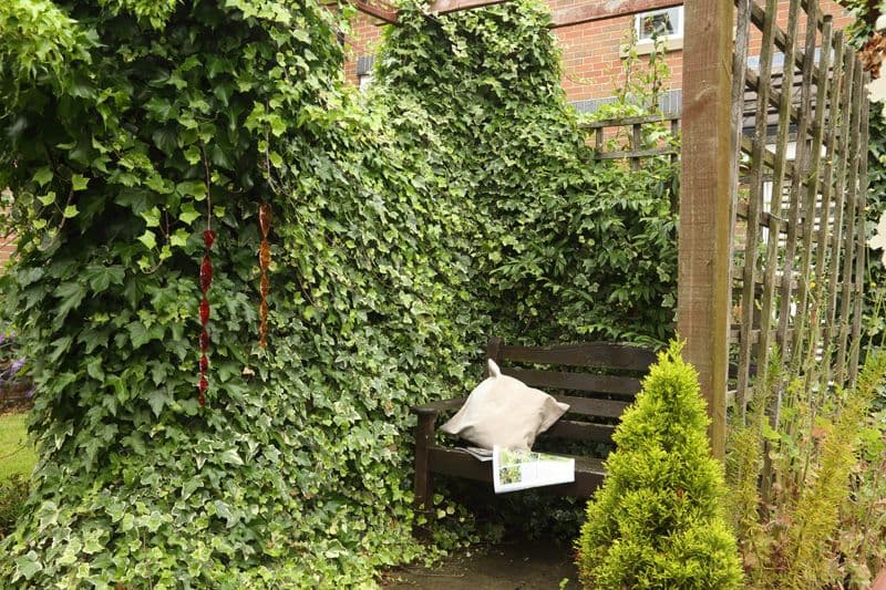 Garden of Hollins Park Care Home in Macclesfield, Cheshire East