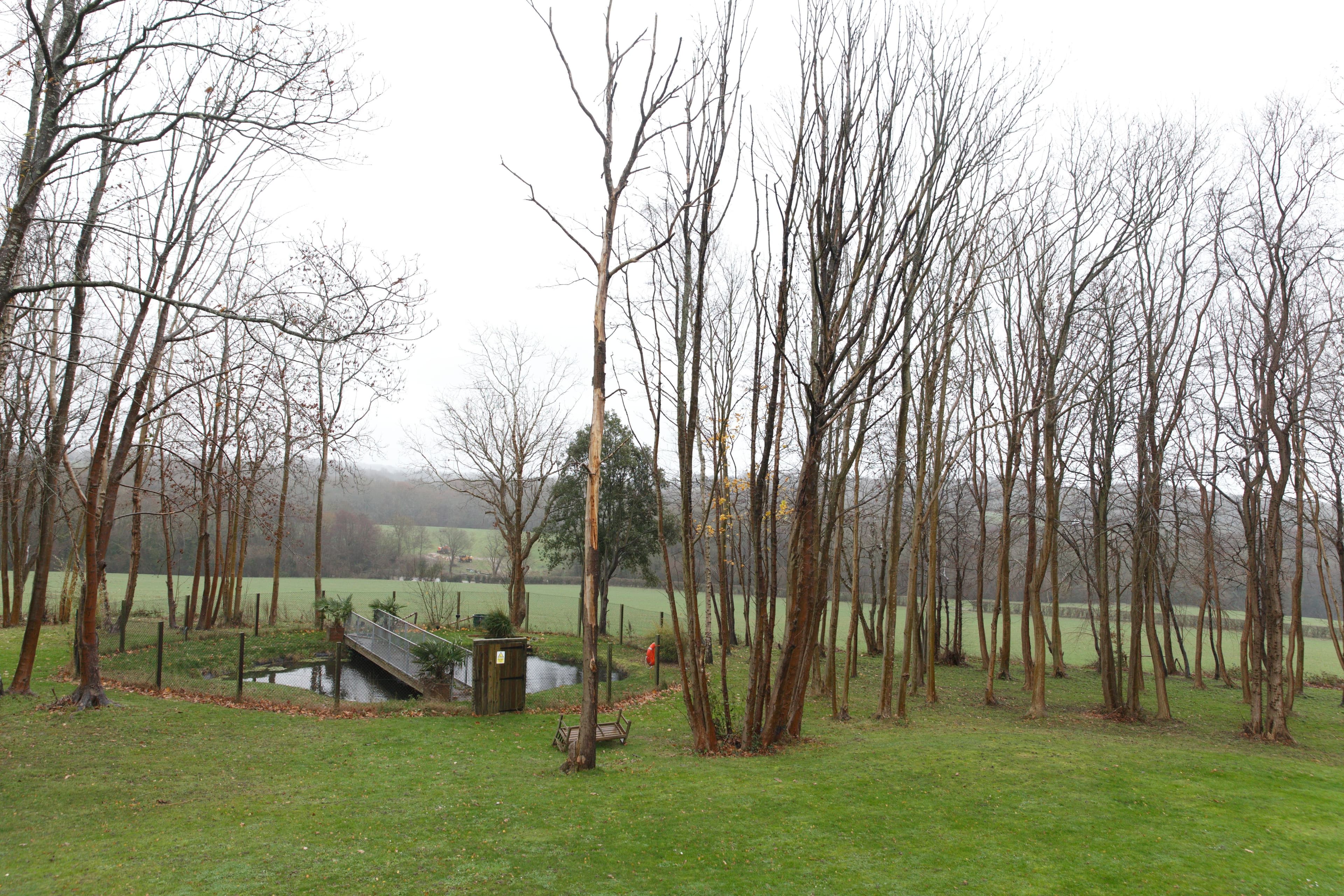 Belmont Healthcare - Edendale Lodge care home - 011