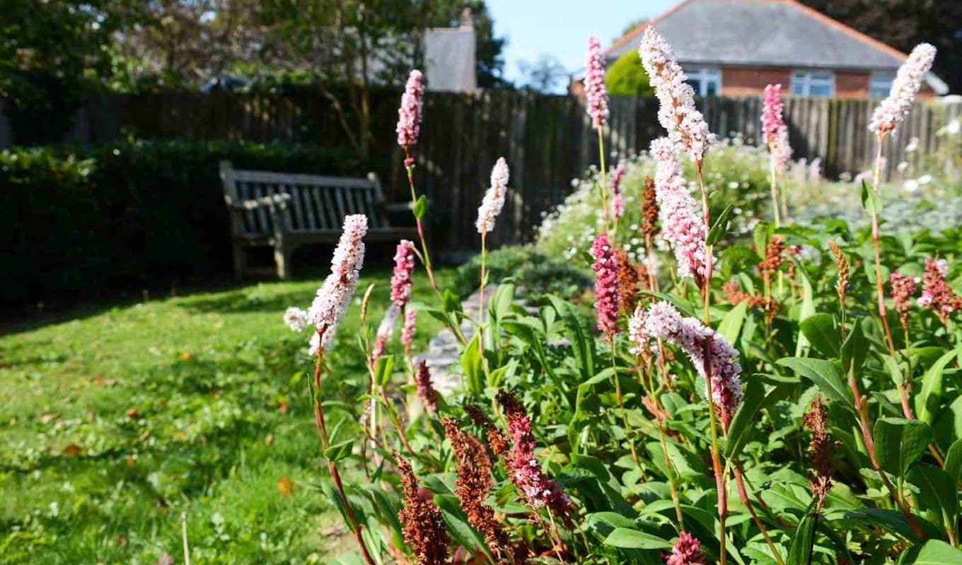 Garden of Maiden Castle House care home in Dorchester, Dorset